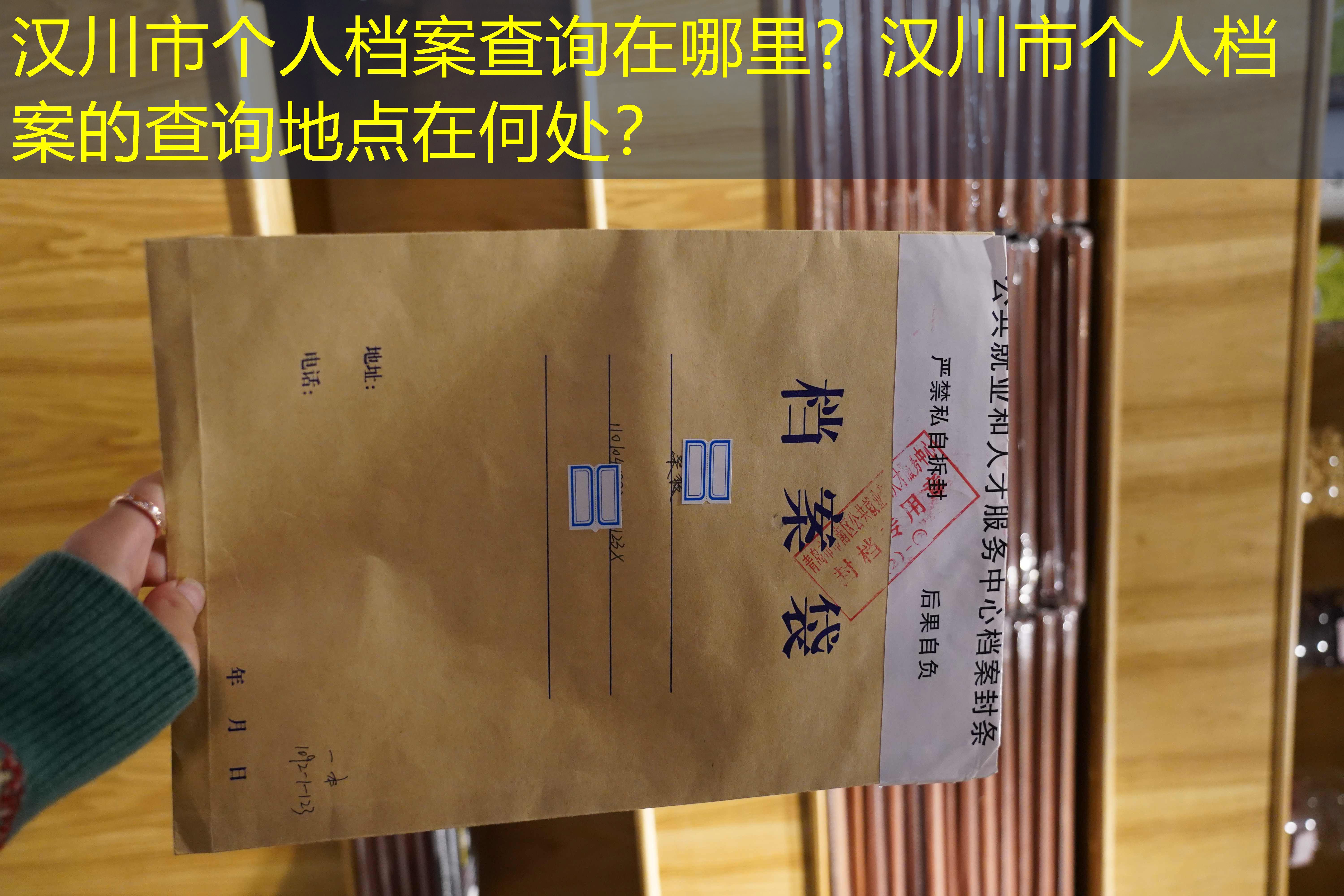 档案查询