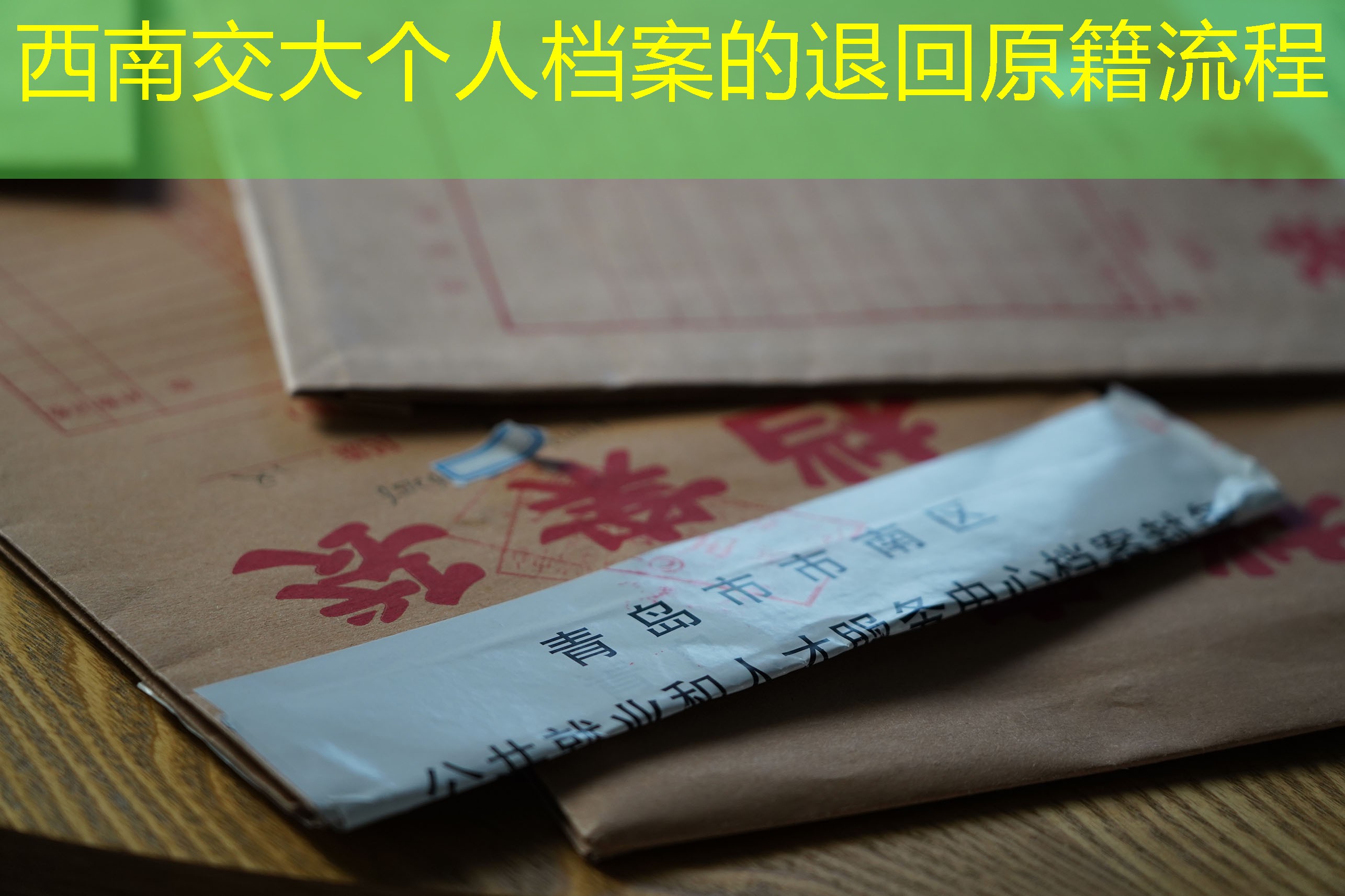 档案查询