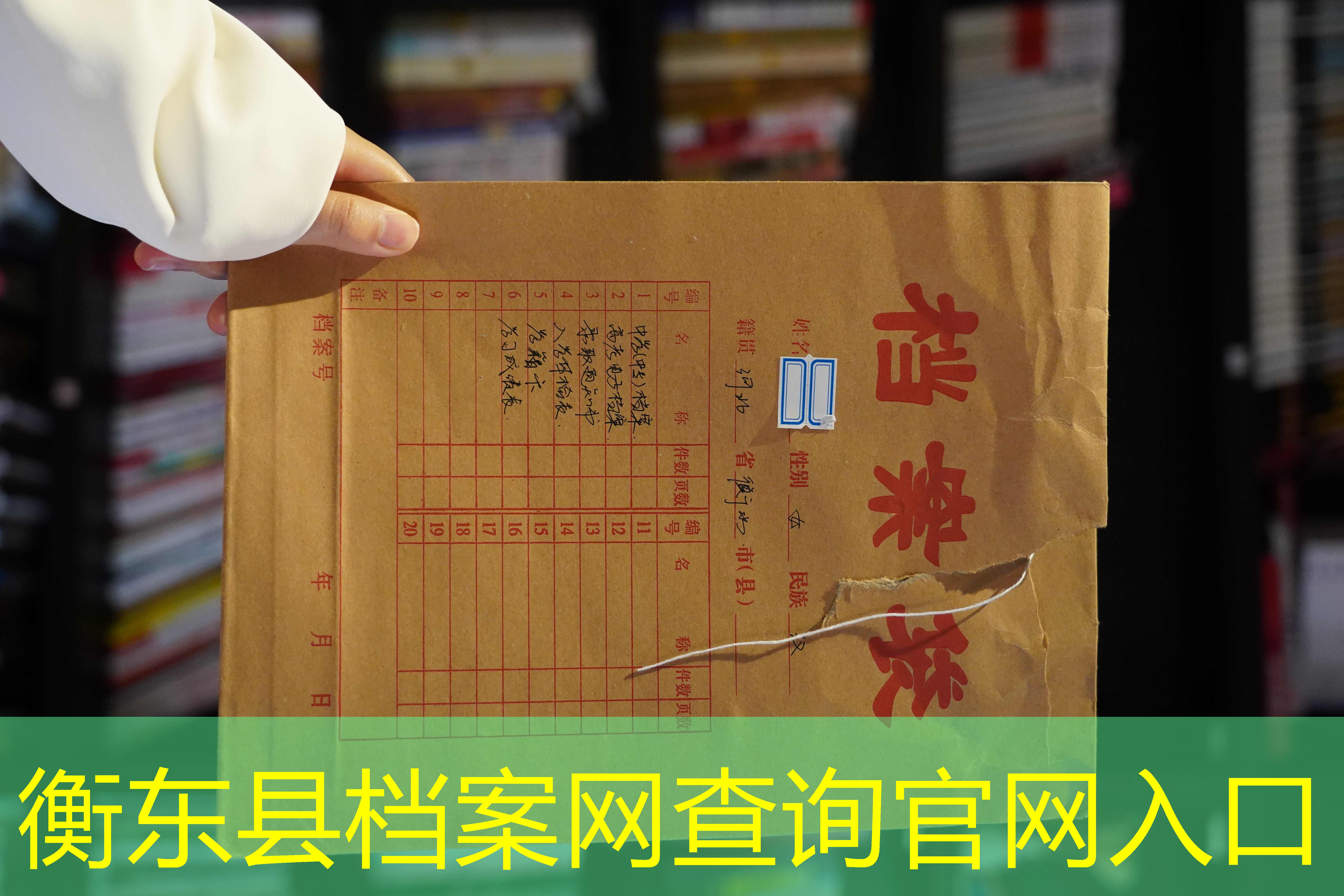 档案查询