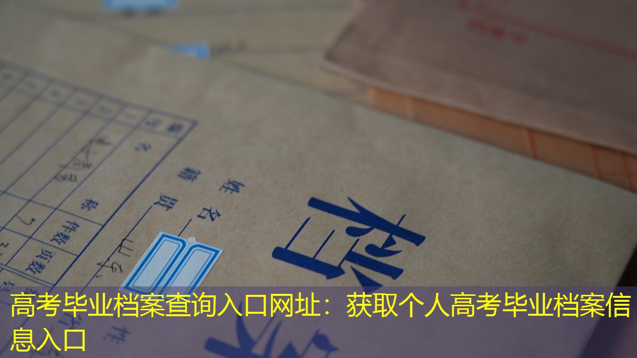 档案查询