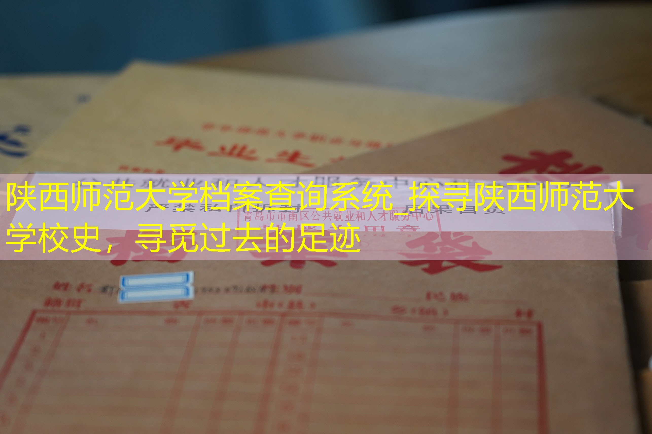 档案查询