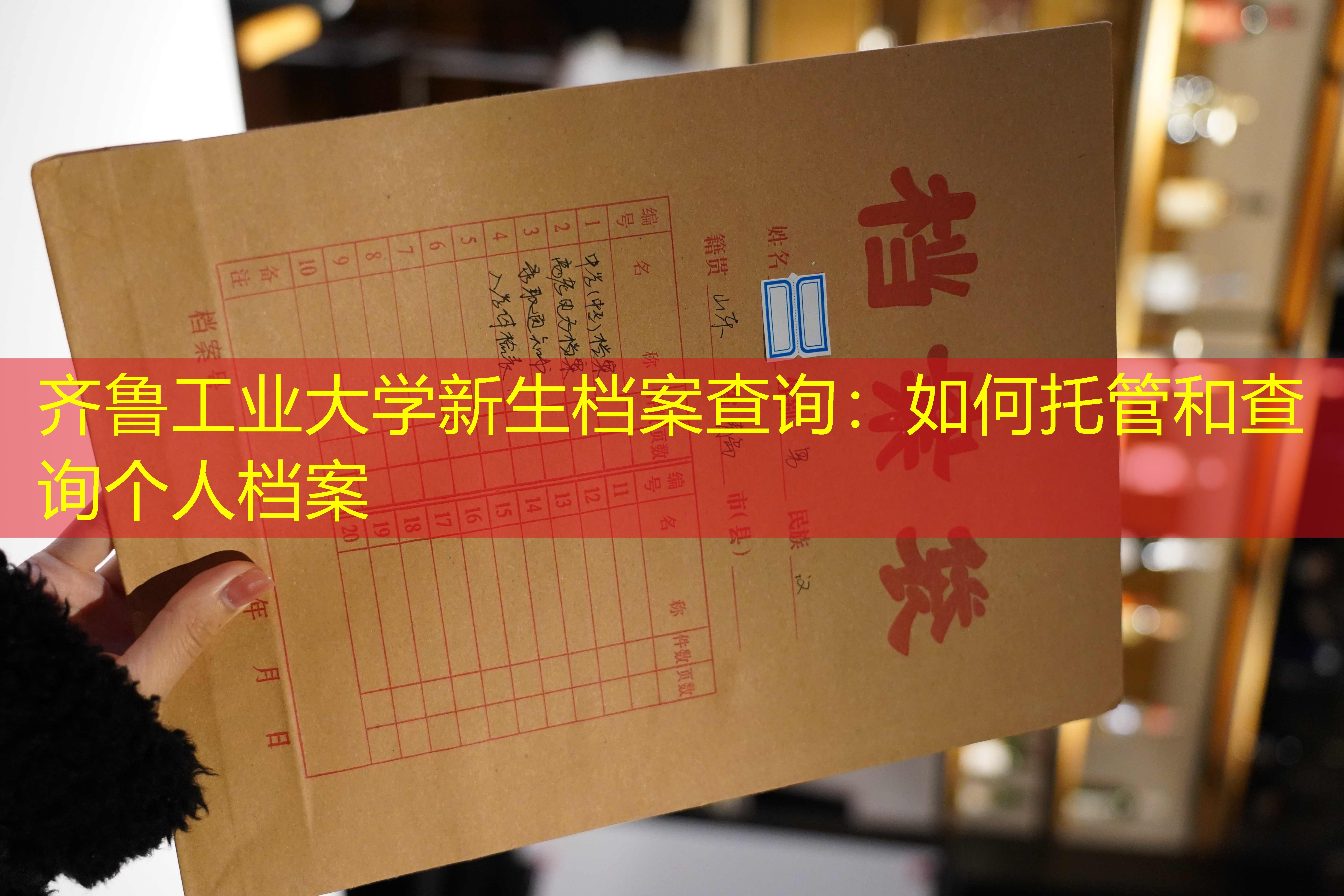 档案查询