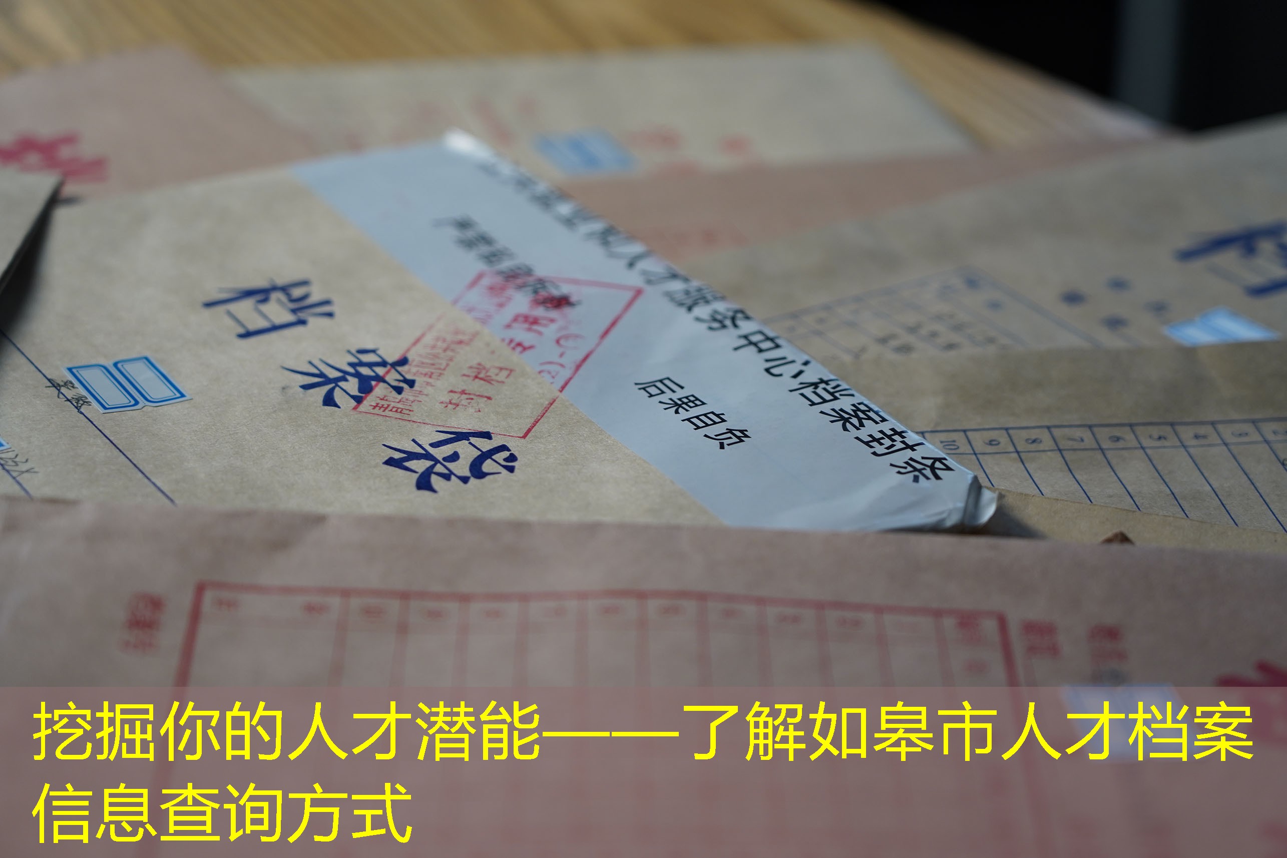 档案查询