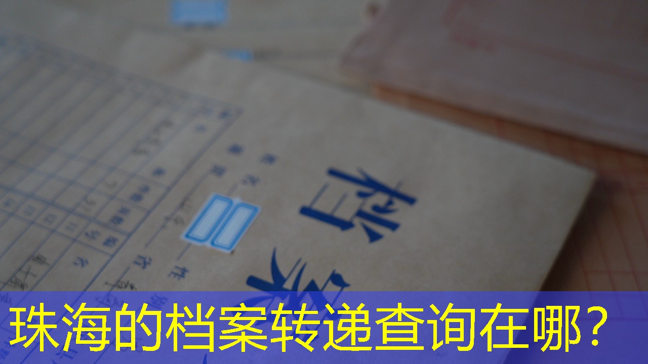 档案查询