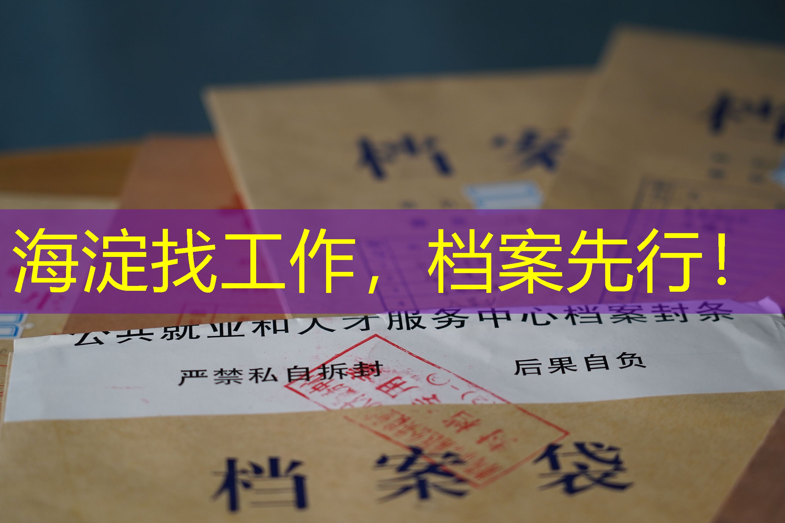 档案查询