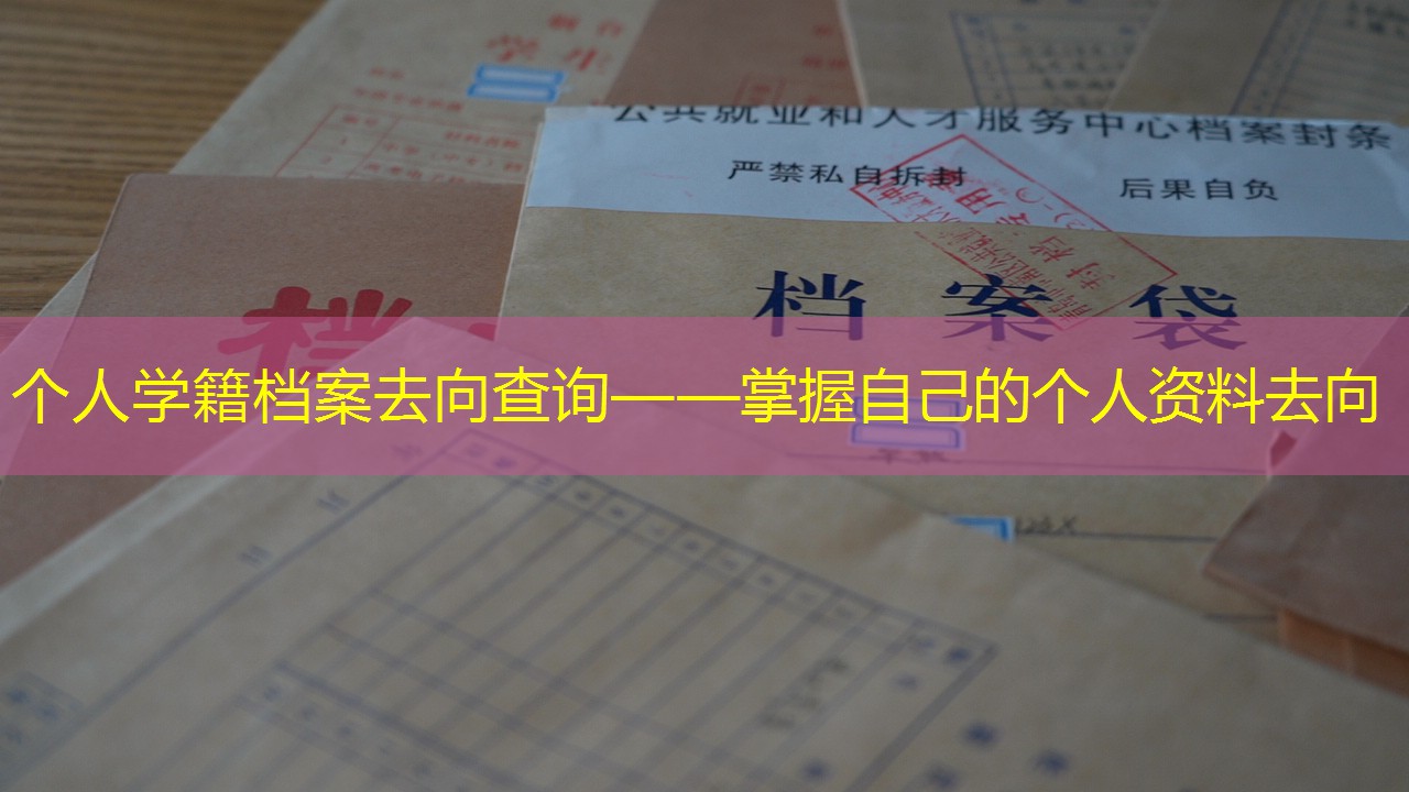 档案查询