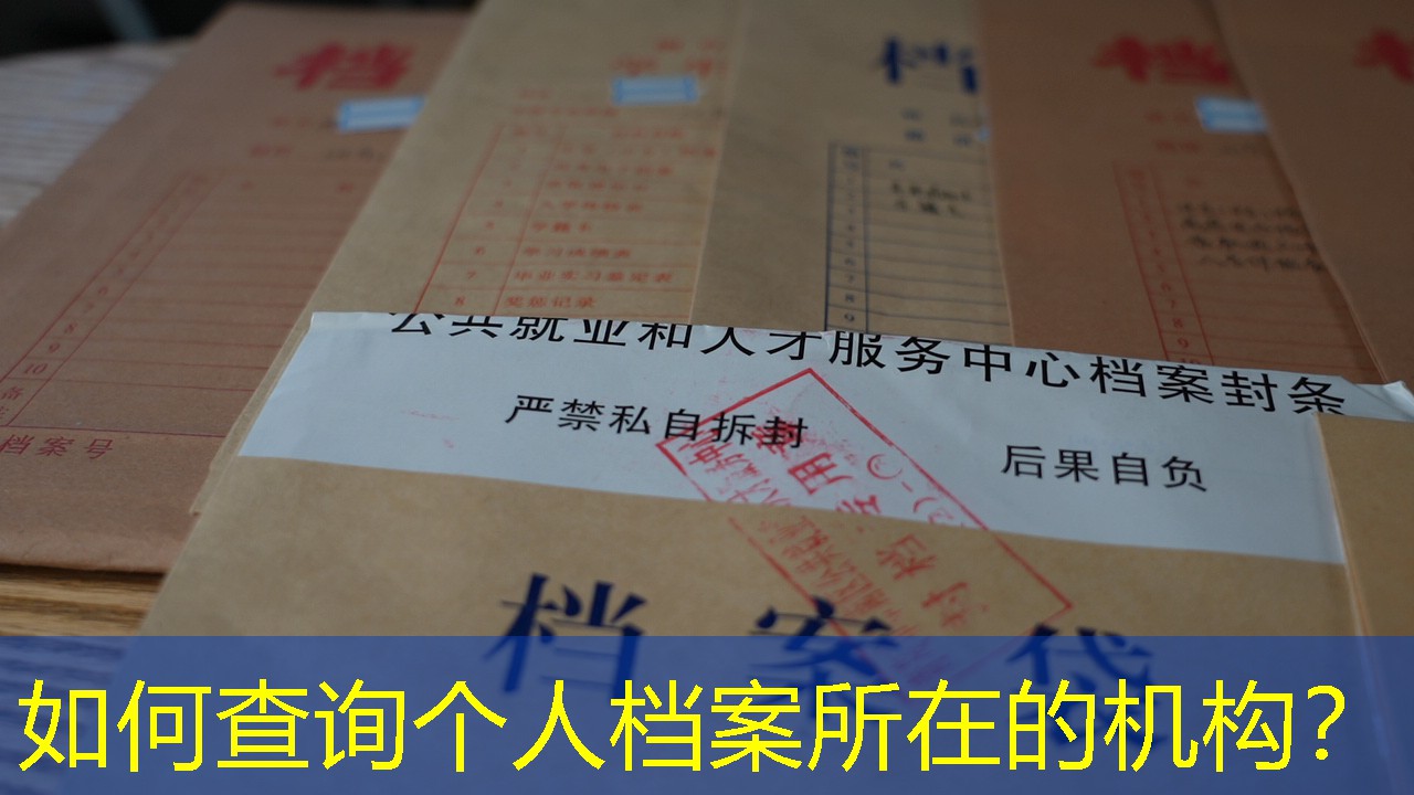 档案查询