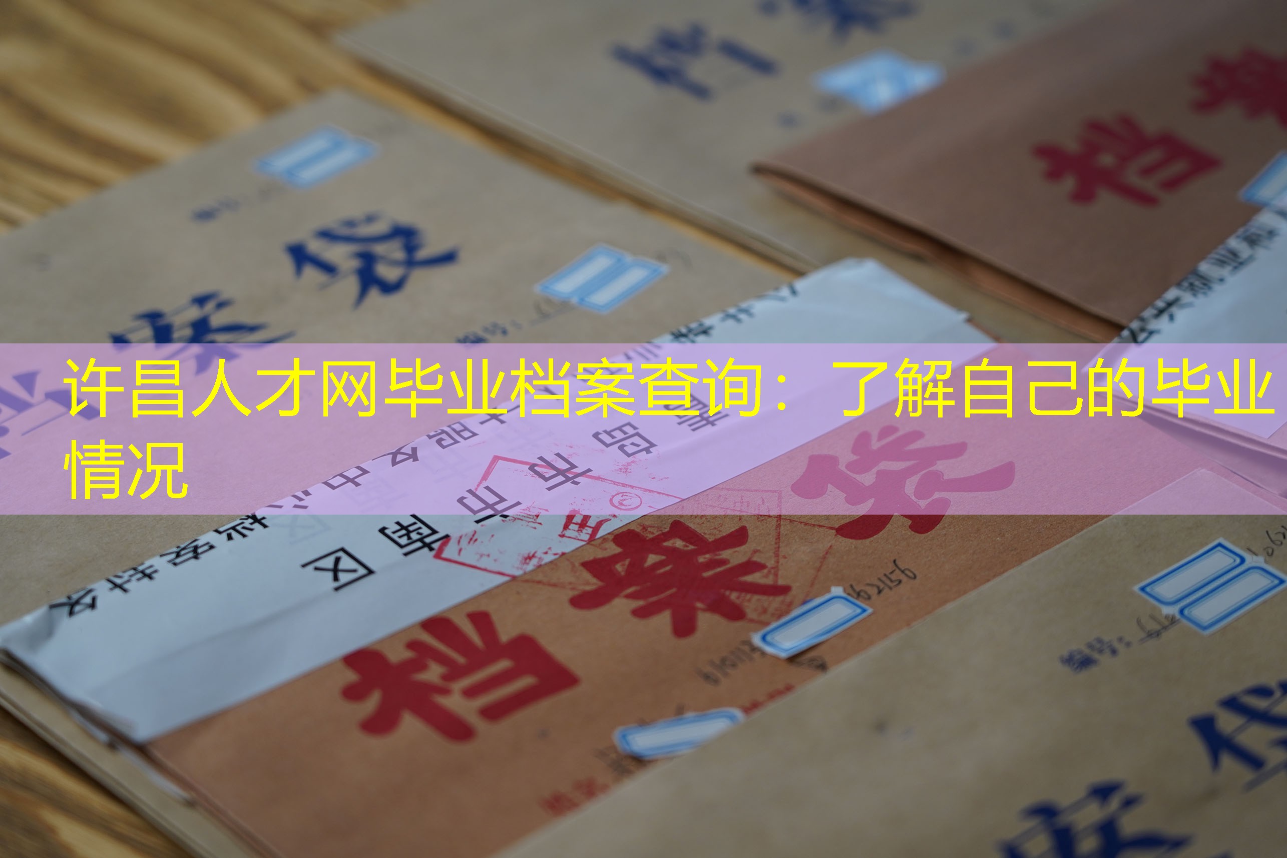 档案查询
