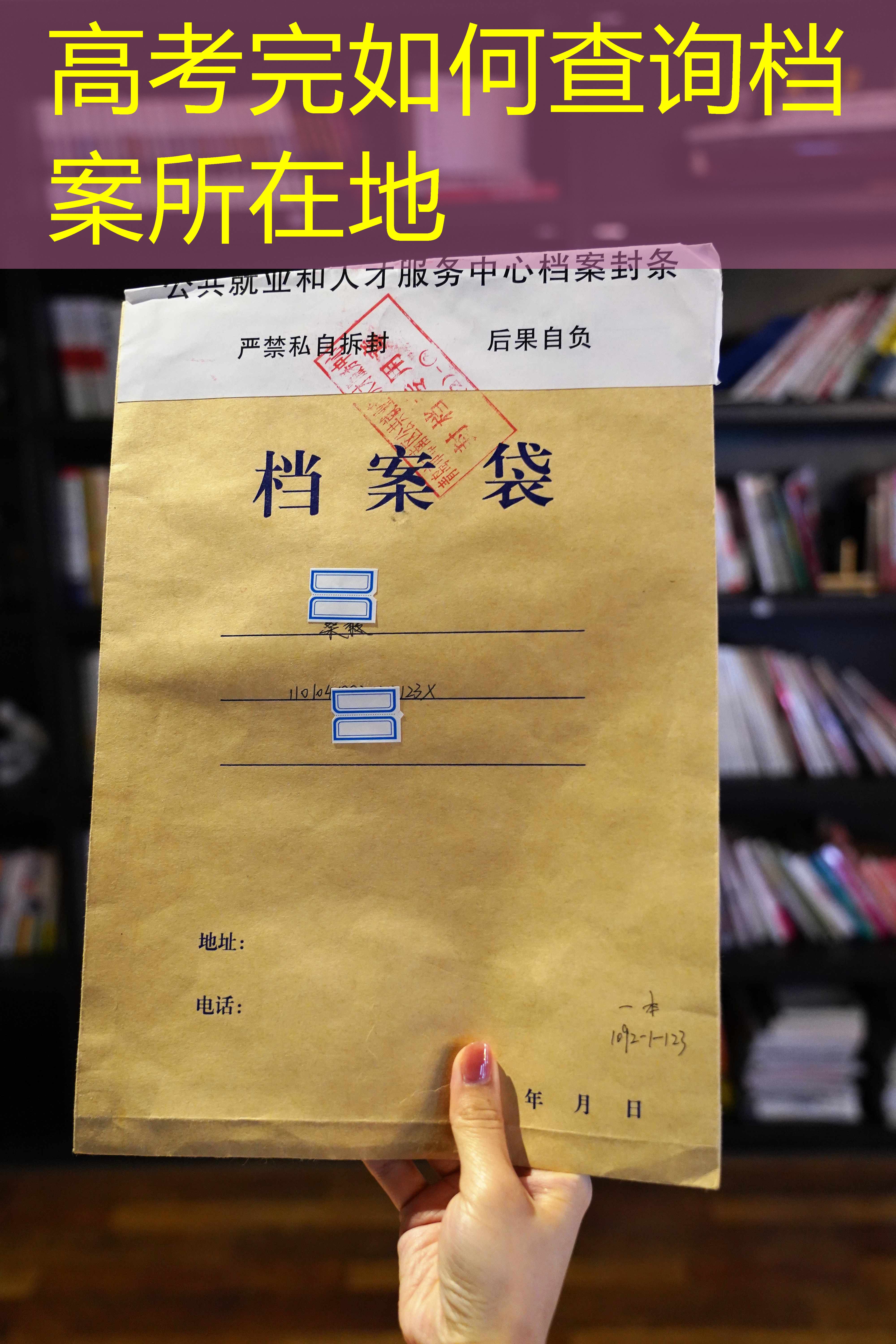 档案查询