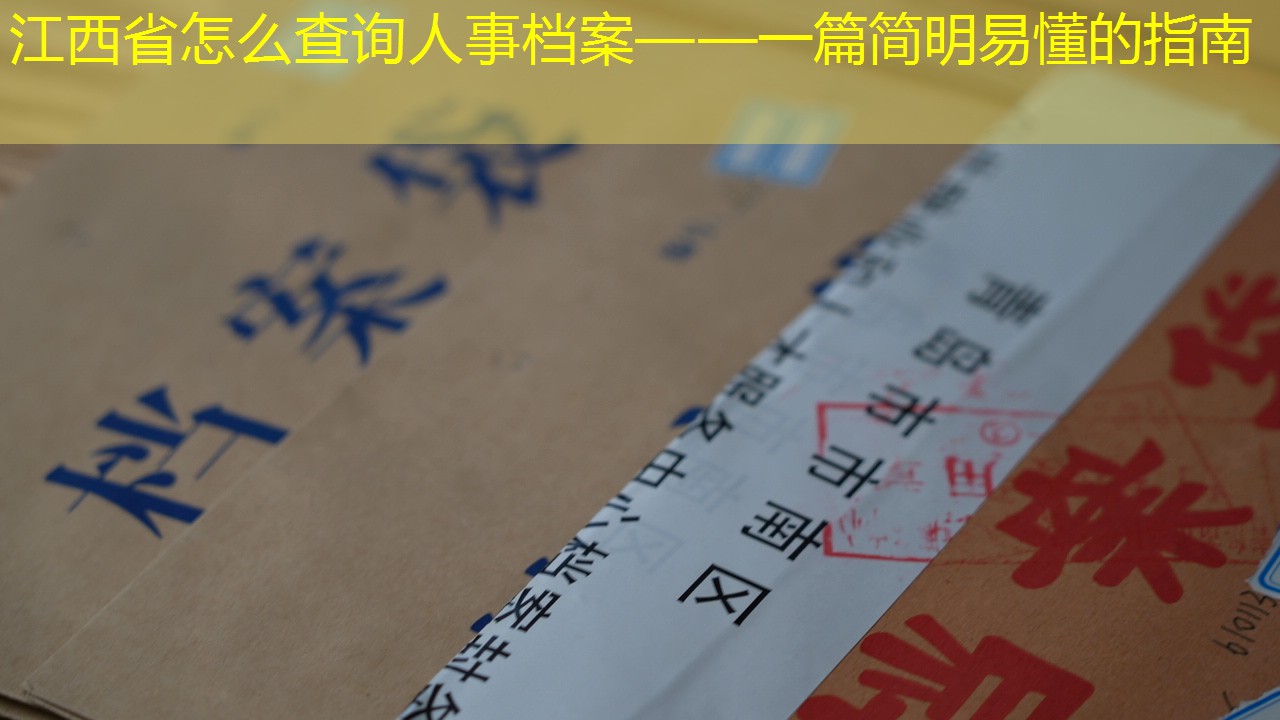 档案查询