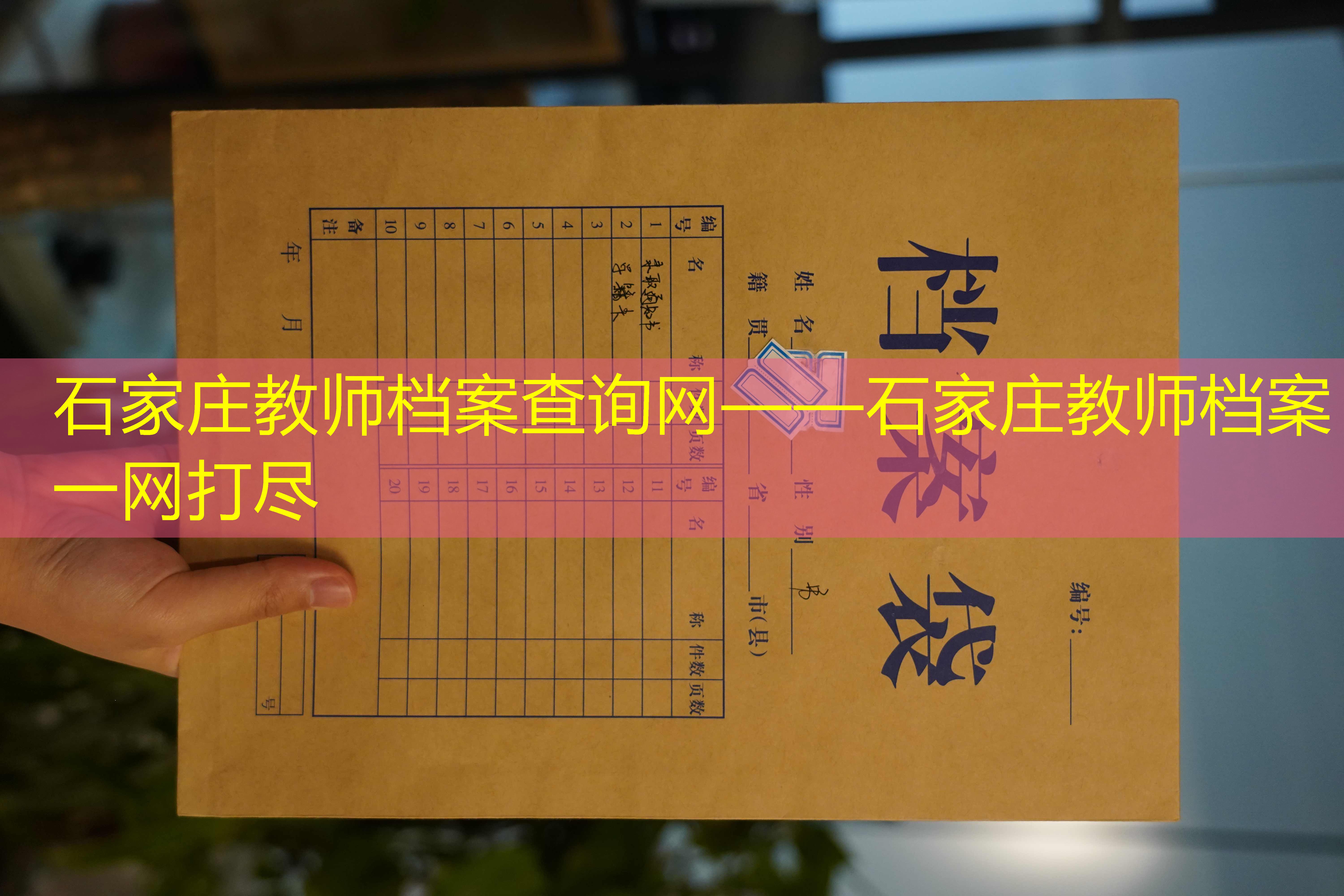 档案查询