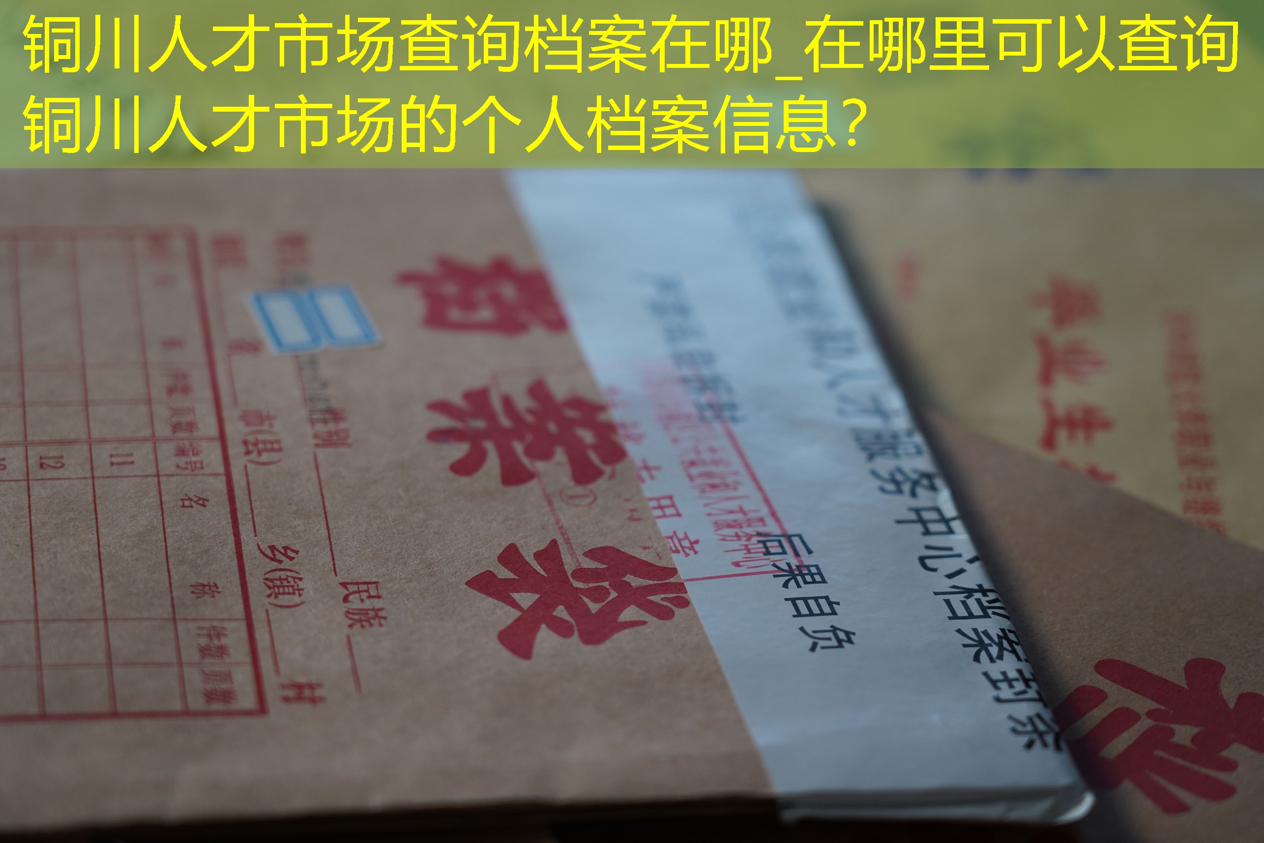 档案查询
