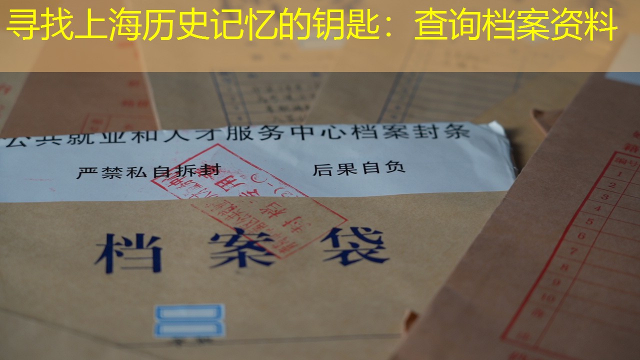 档案查询