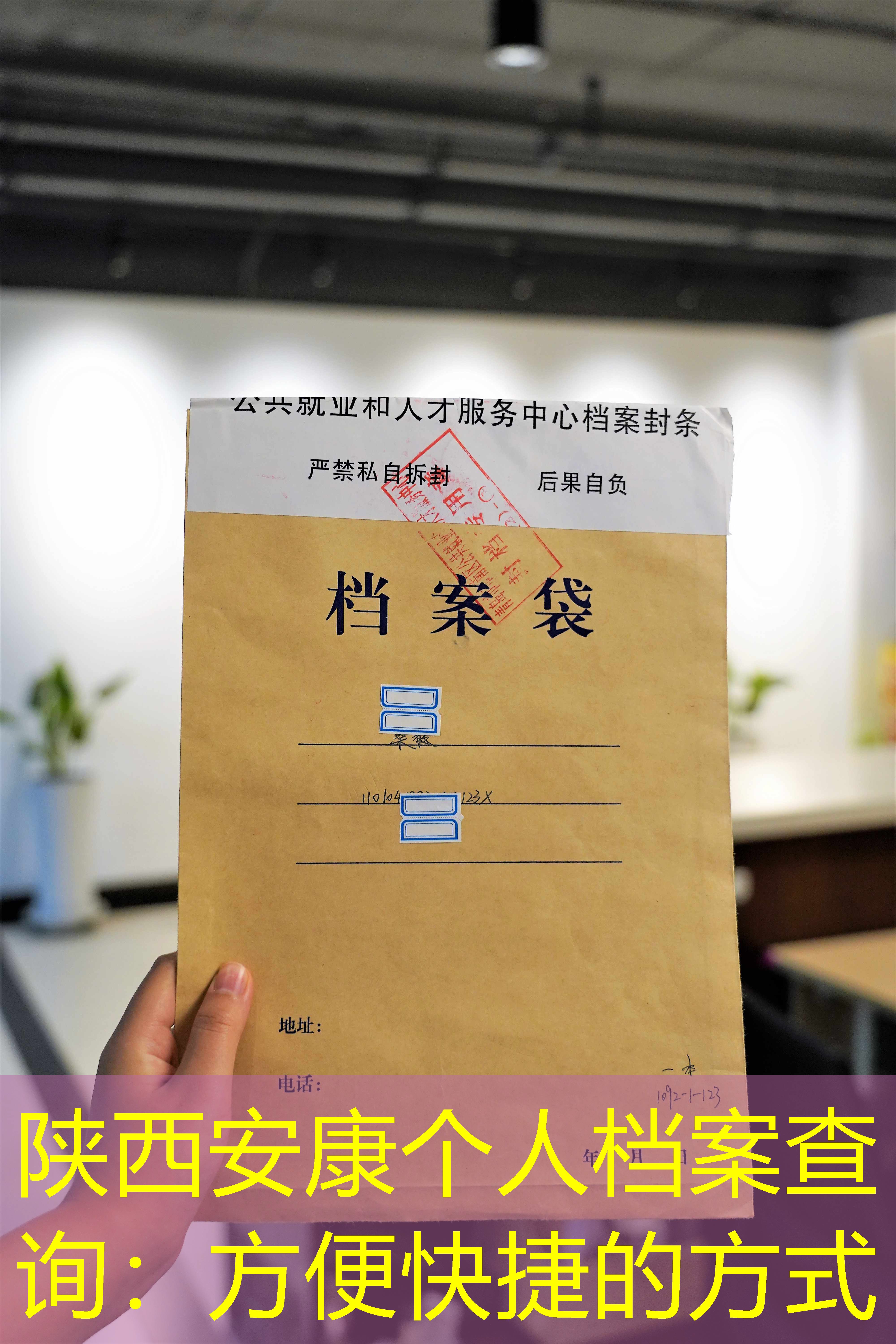 档案查询