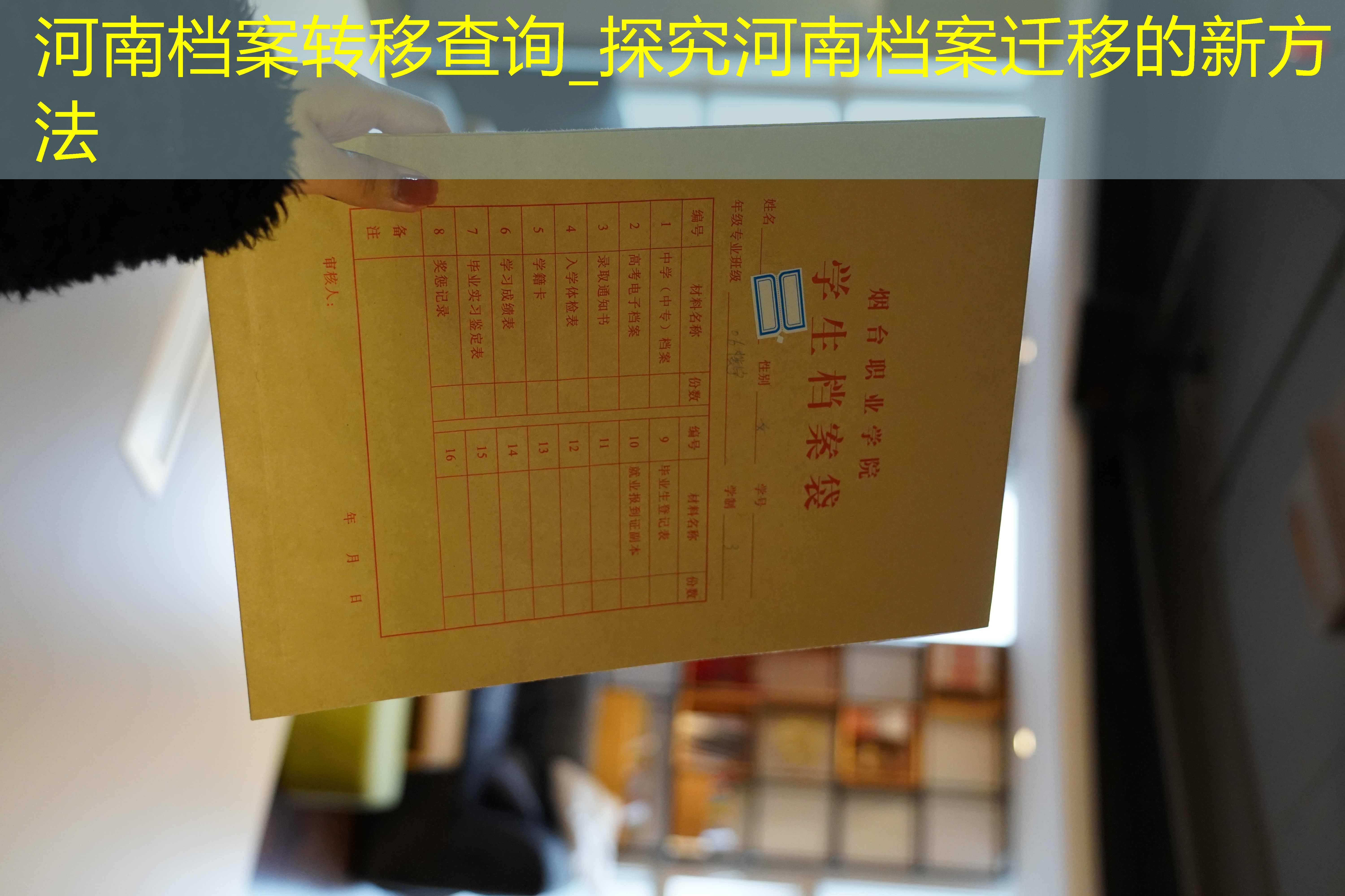 档案查询