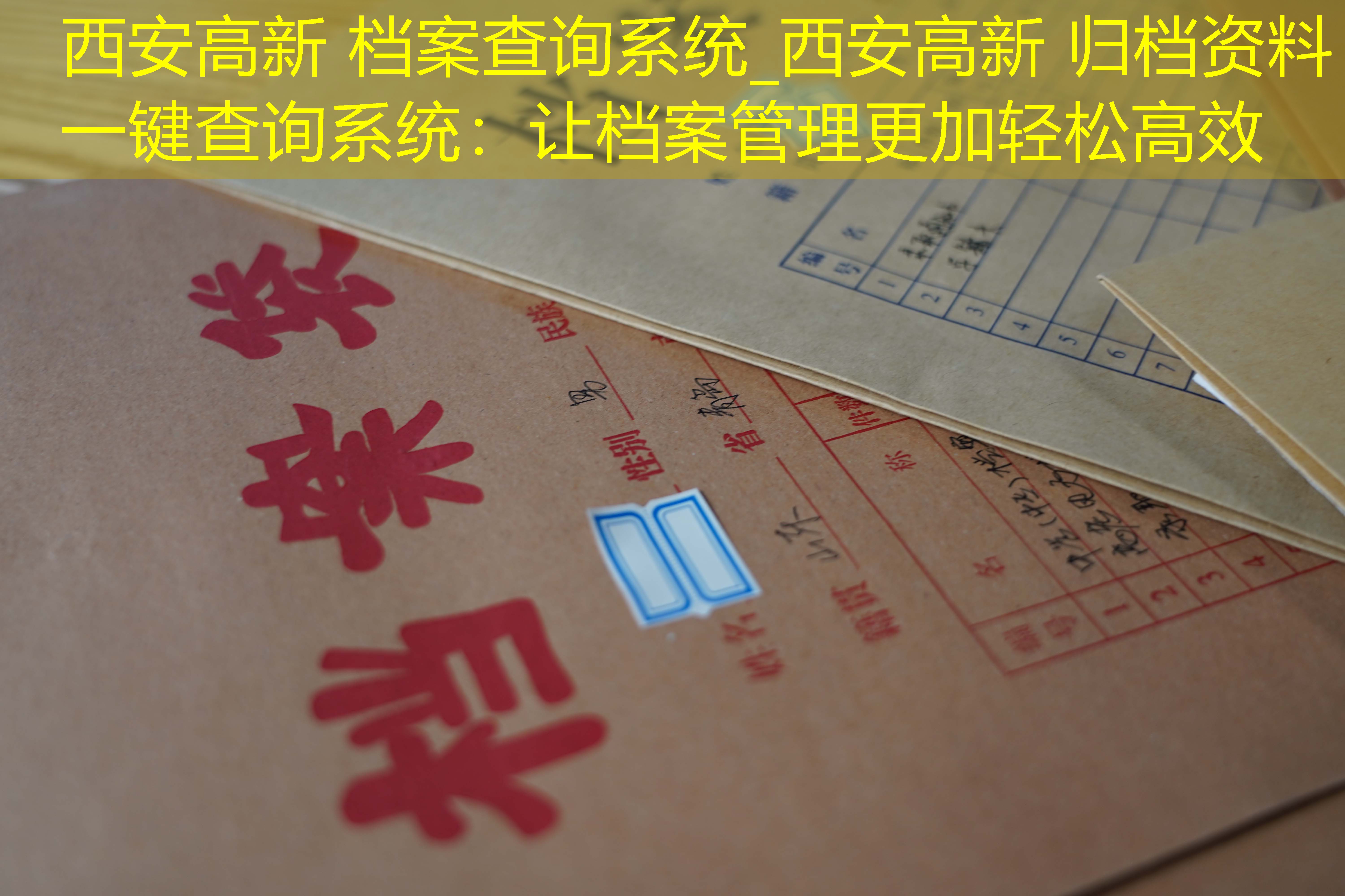 档案查询
