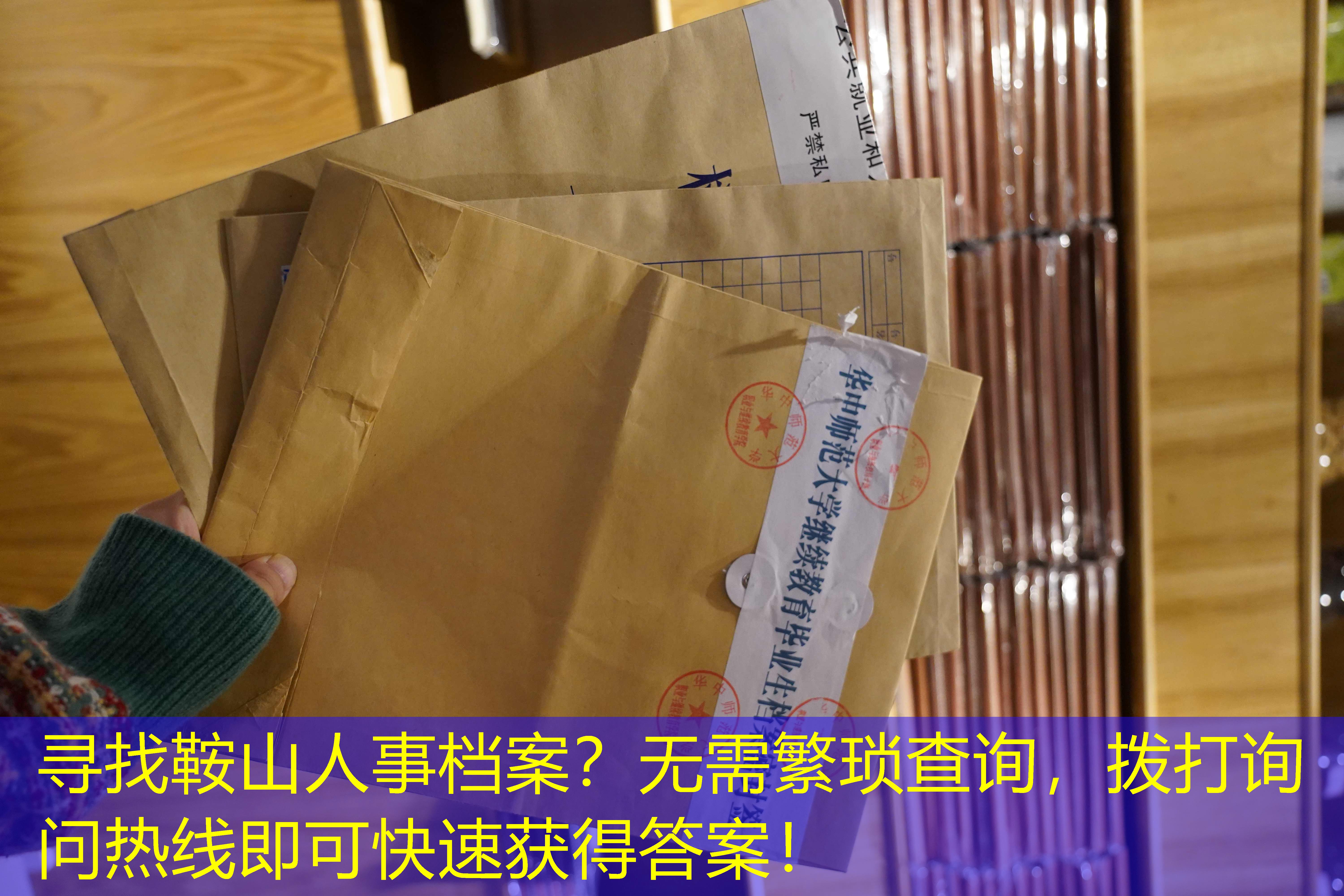档案查询