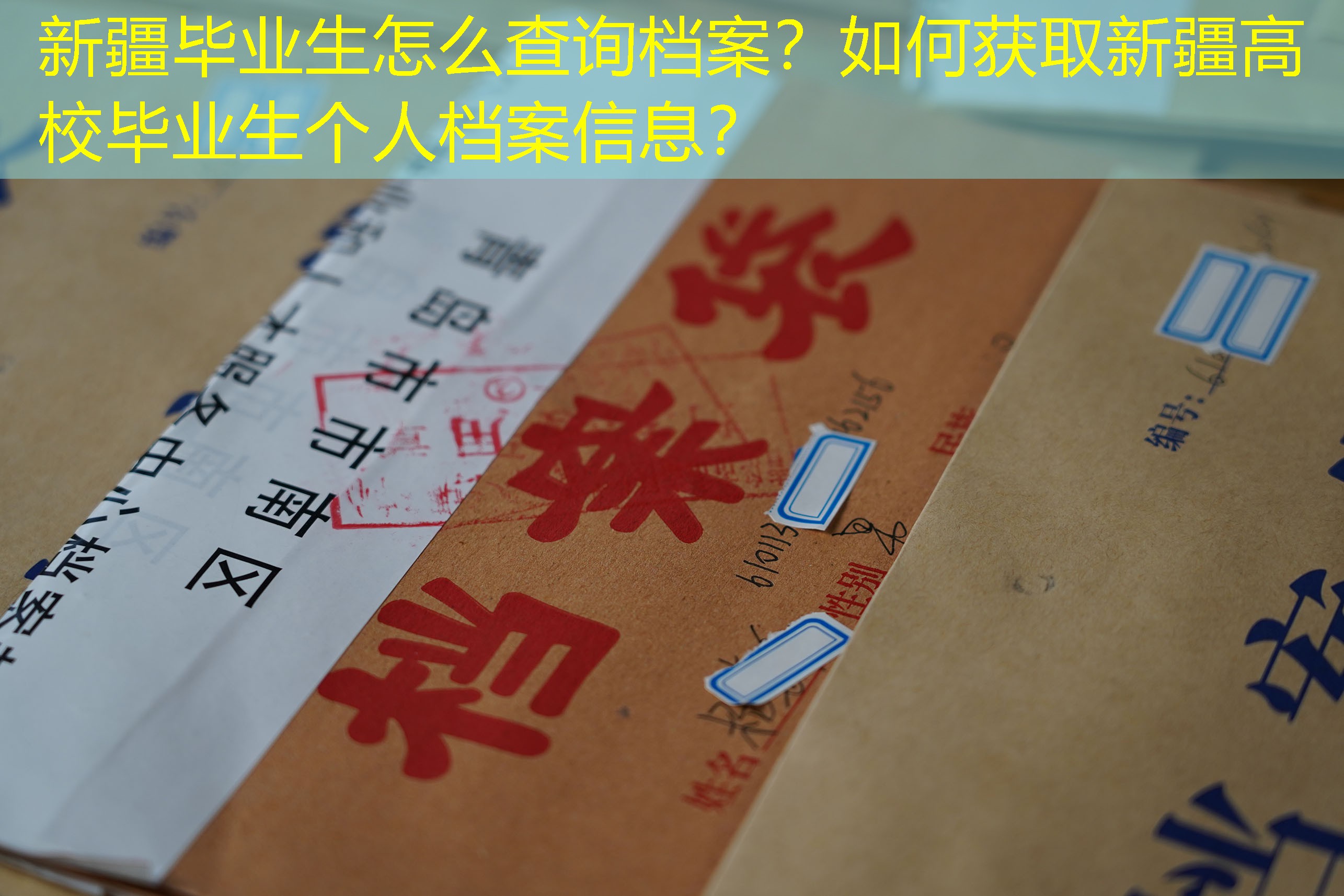 档案查询