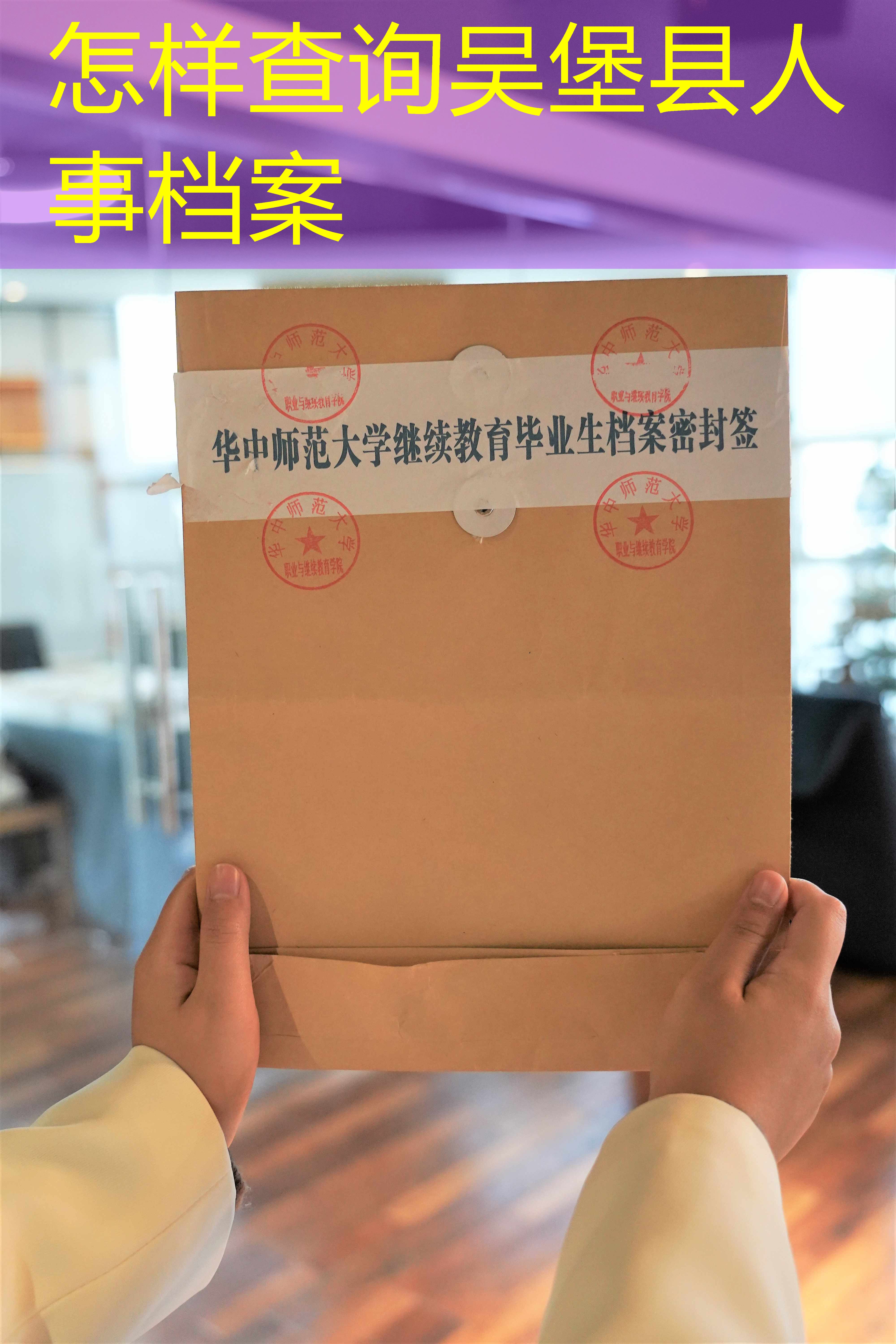 档案查询
