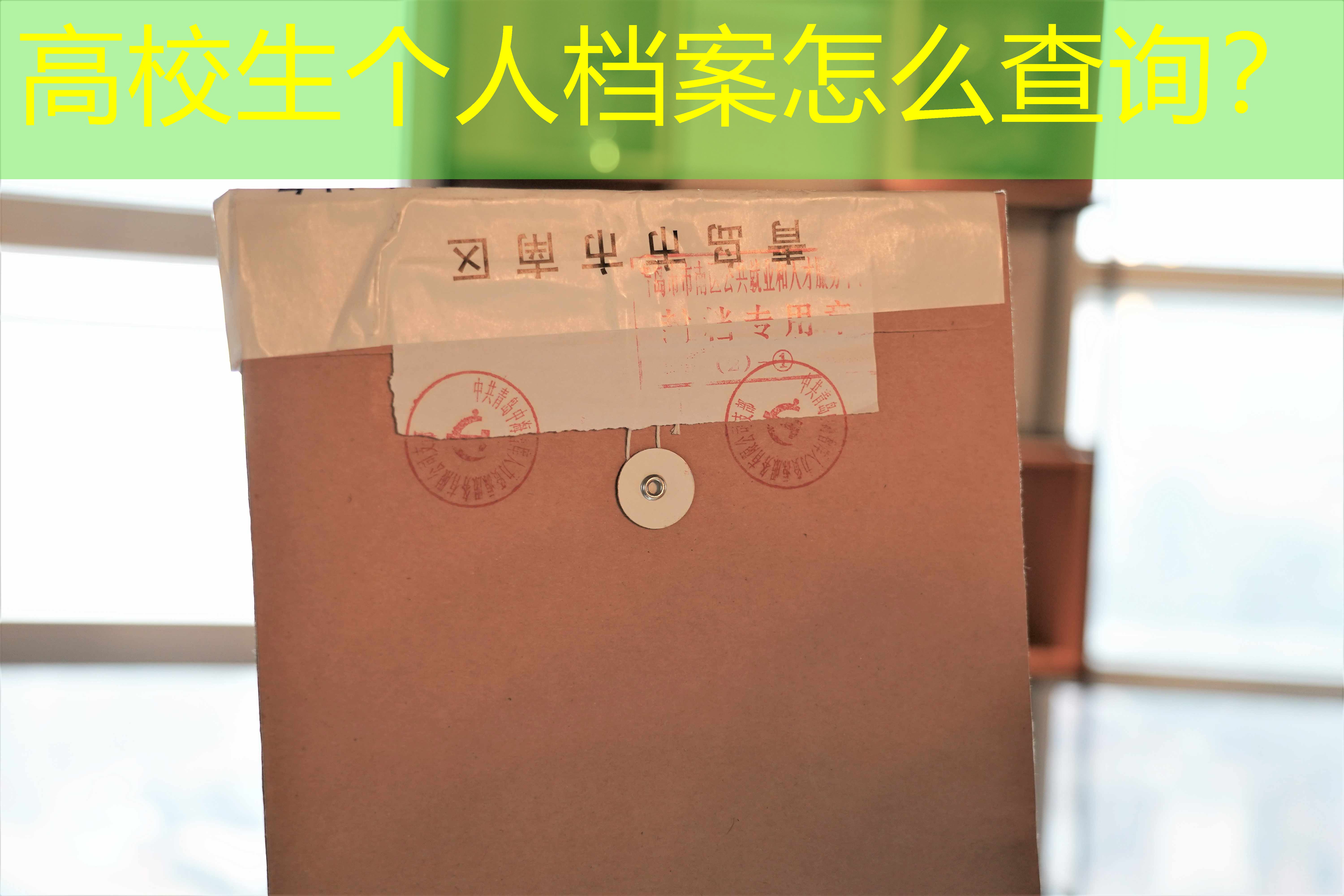 档案查询