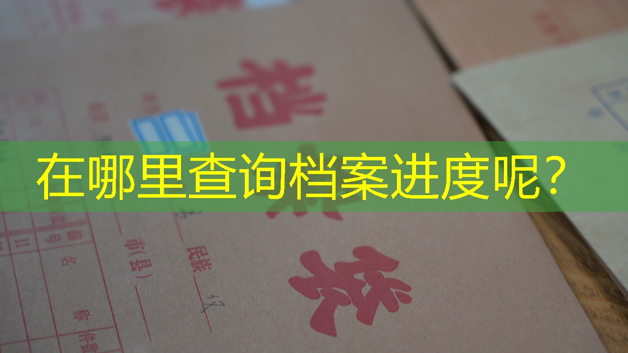 档案查询