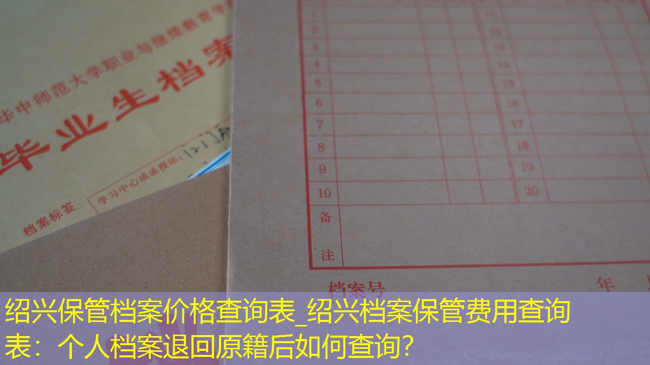 档案查询