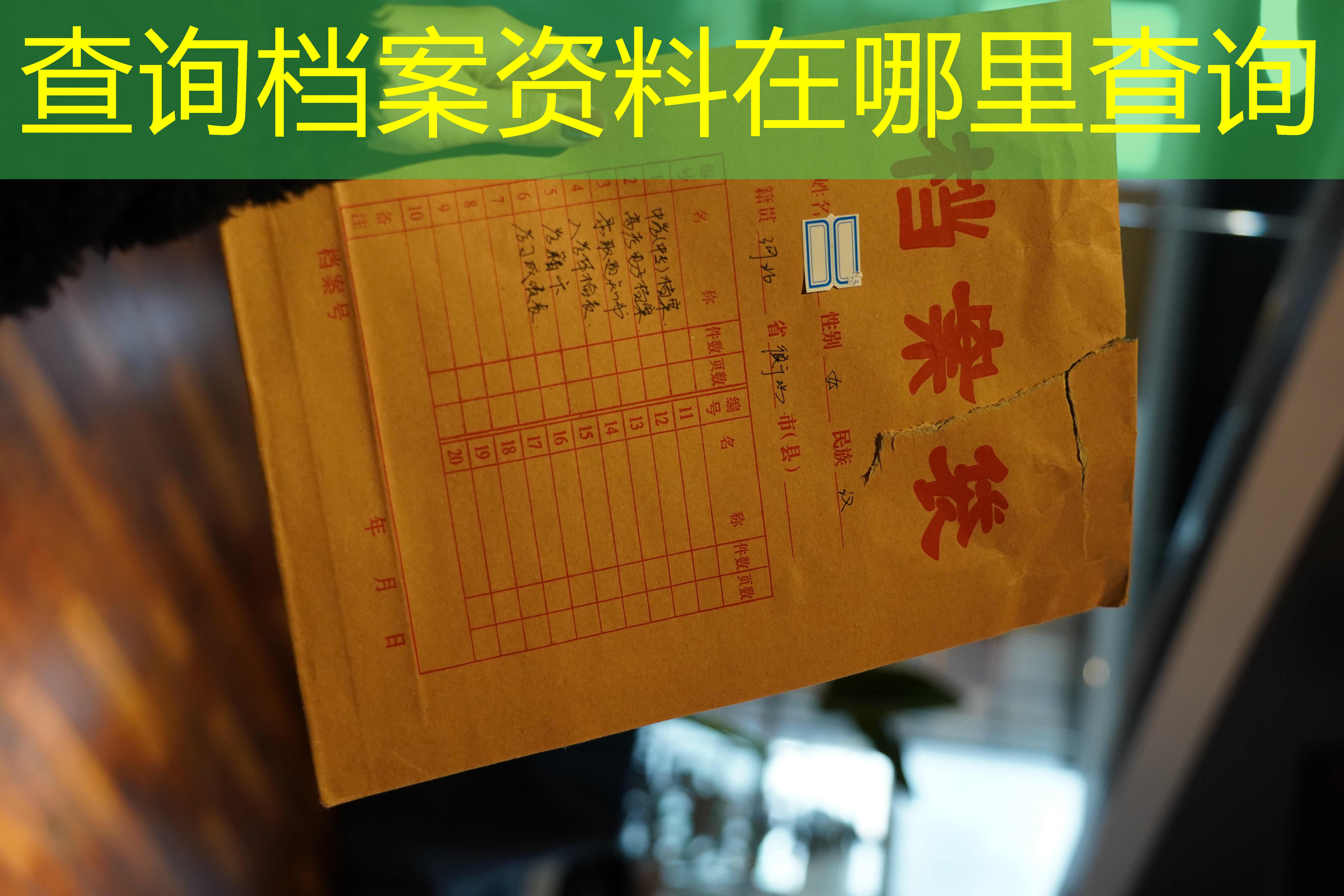 档案查询