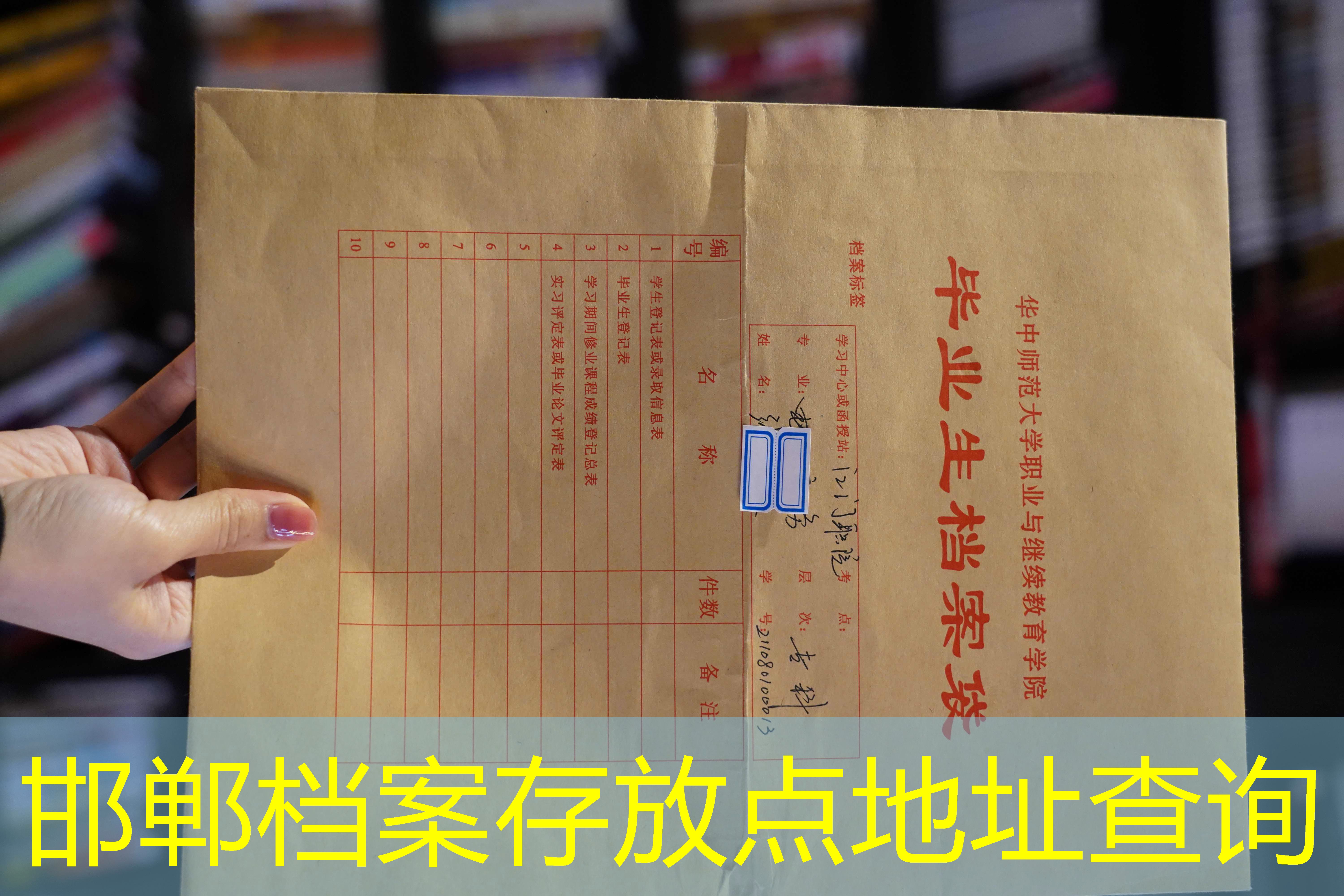档案查询