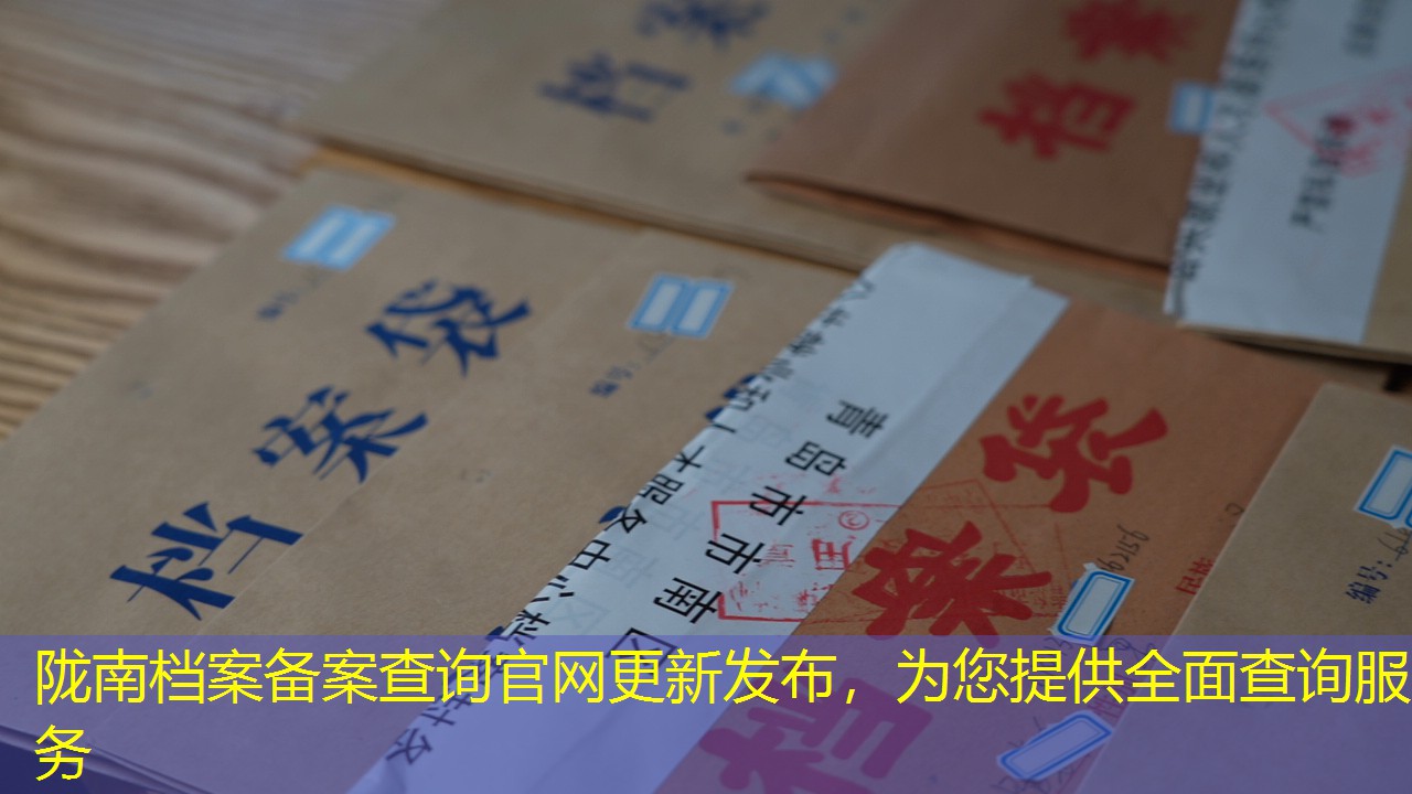 档案查询