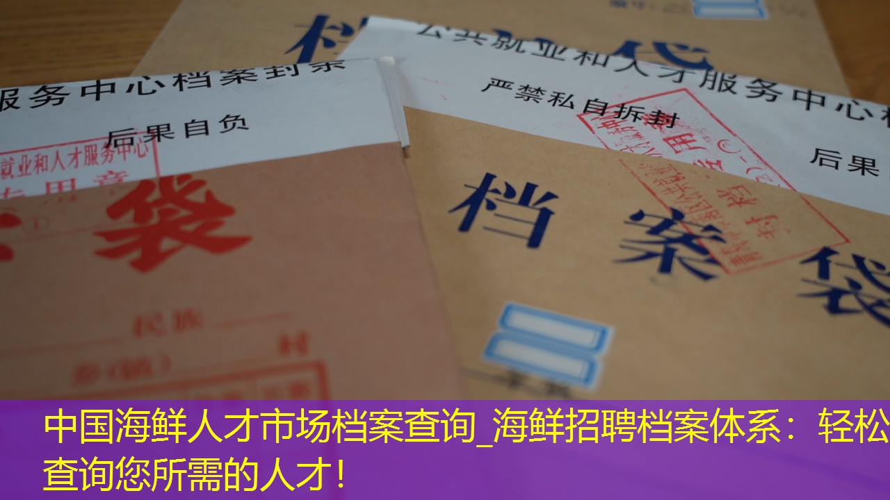 档案查询
