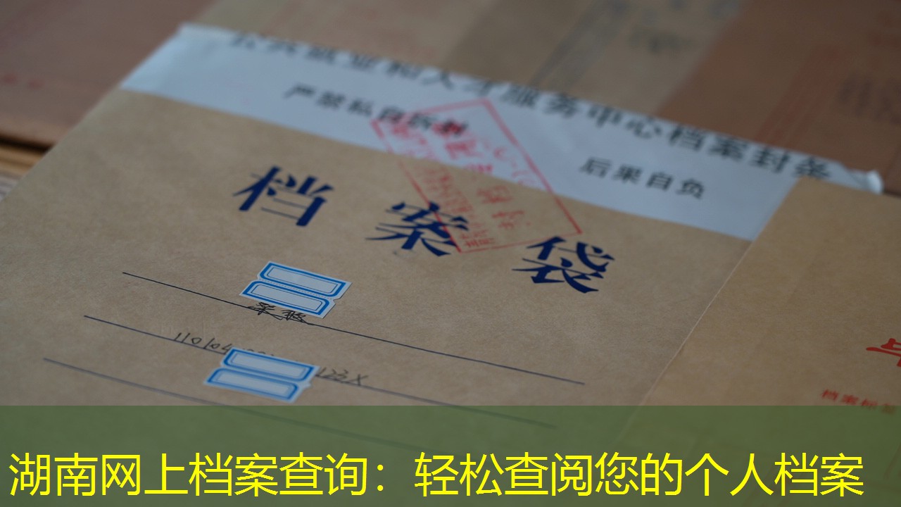 档案查询