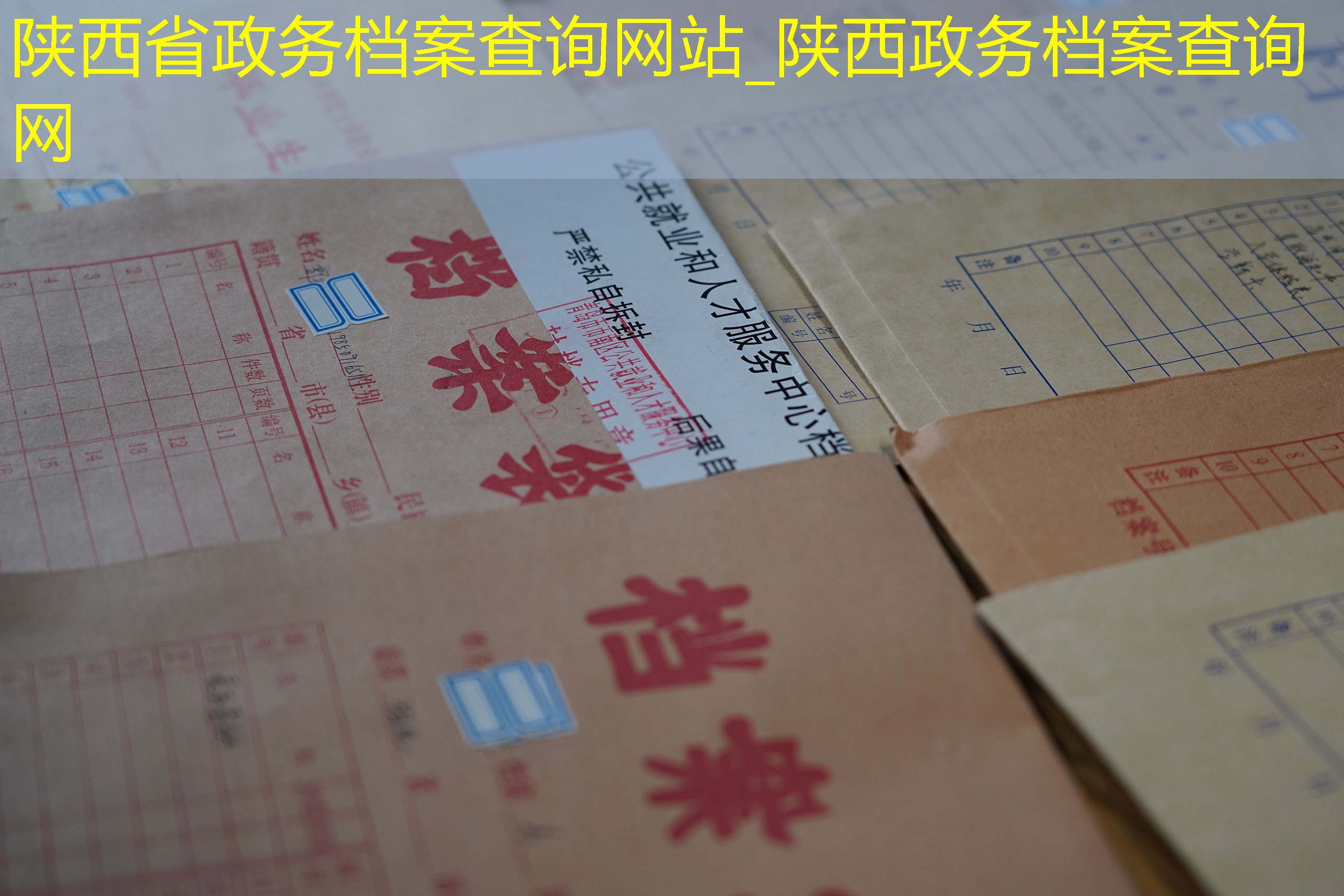 档案查询