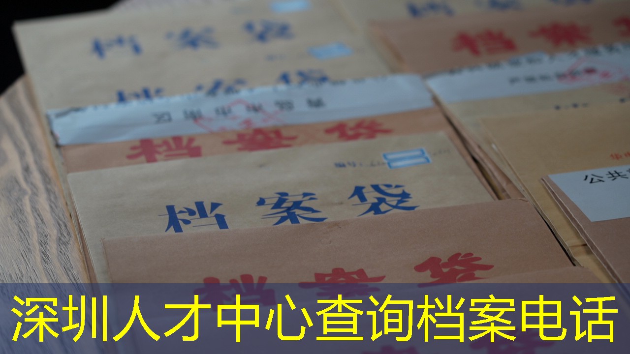 档案查询