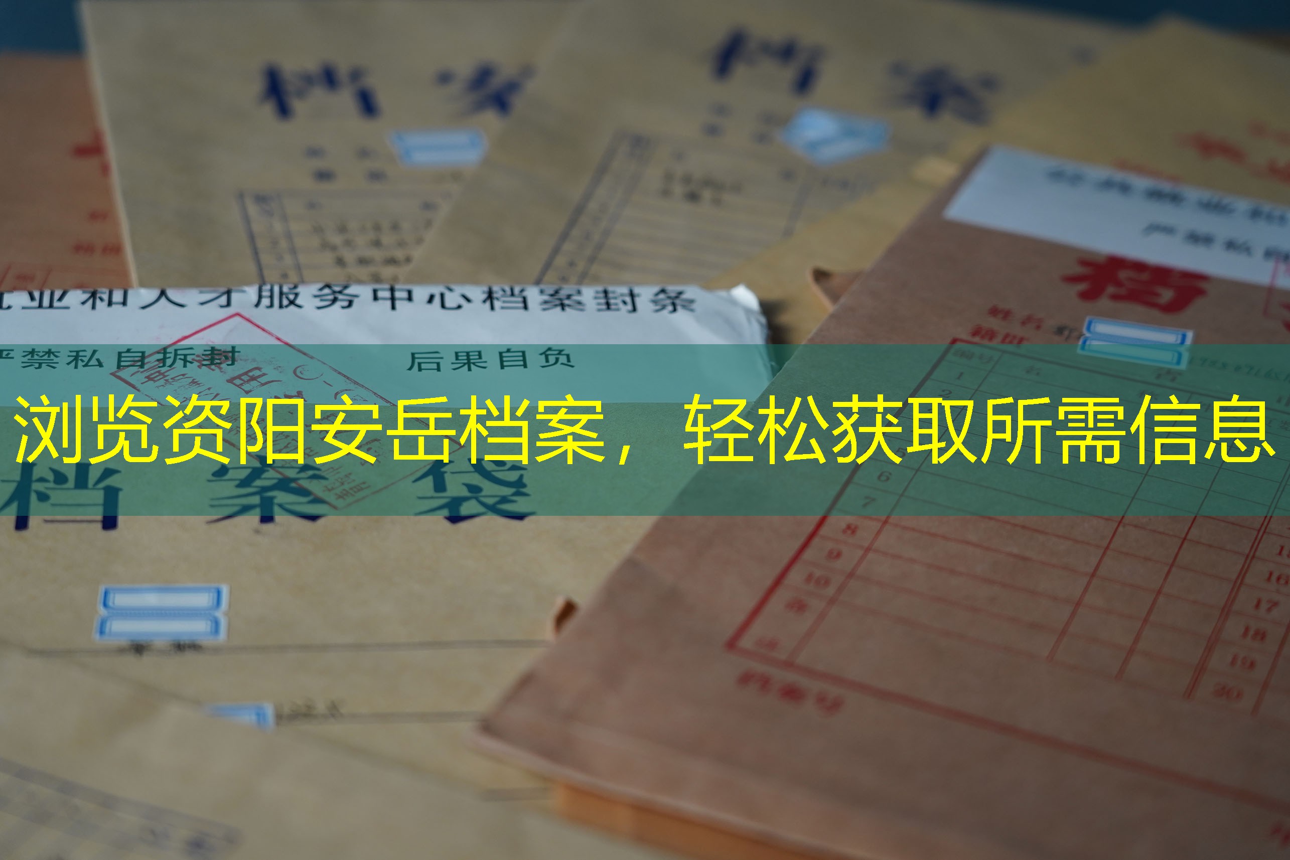 档案查询