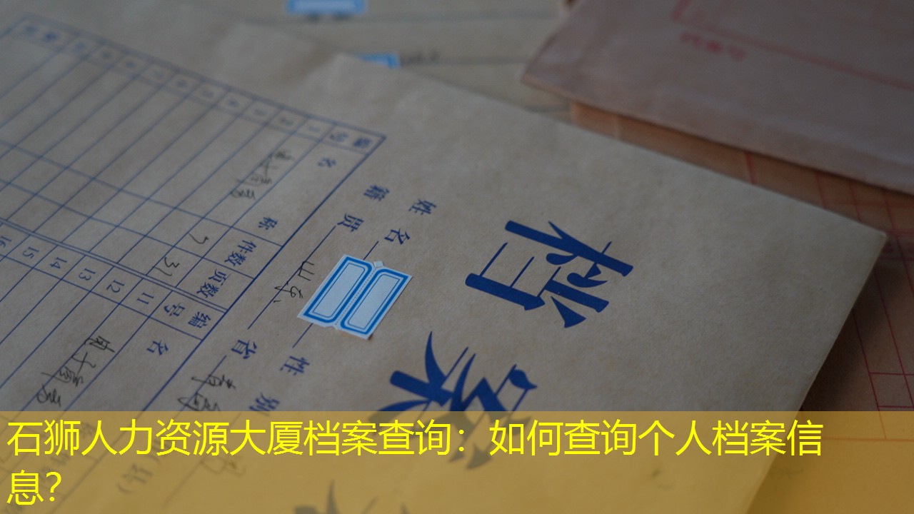 档案查询