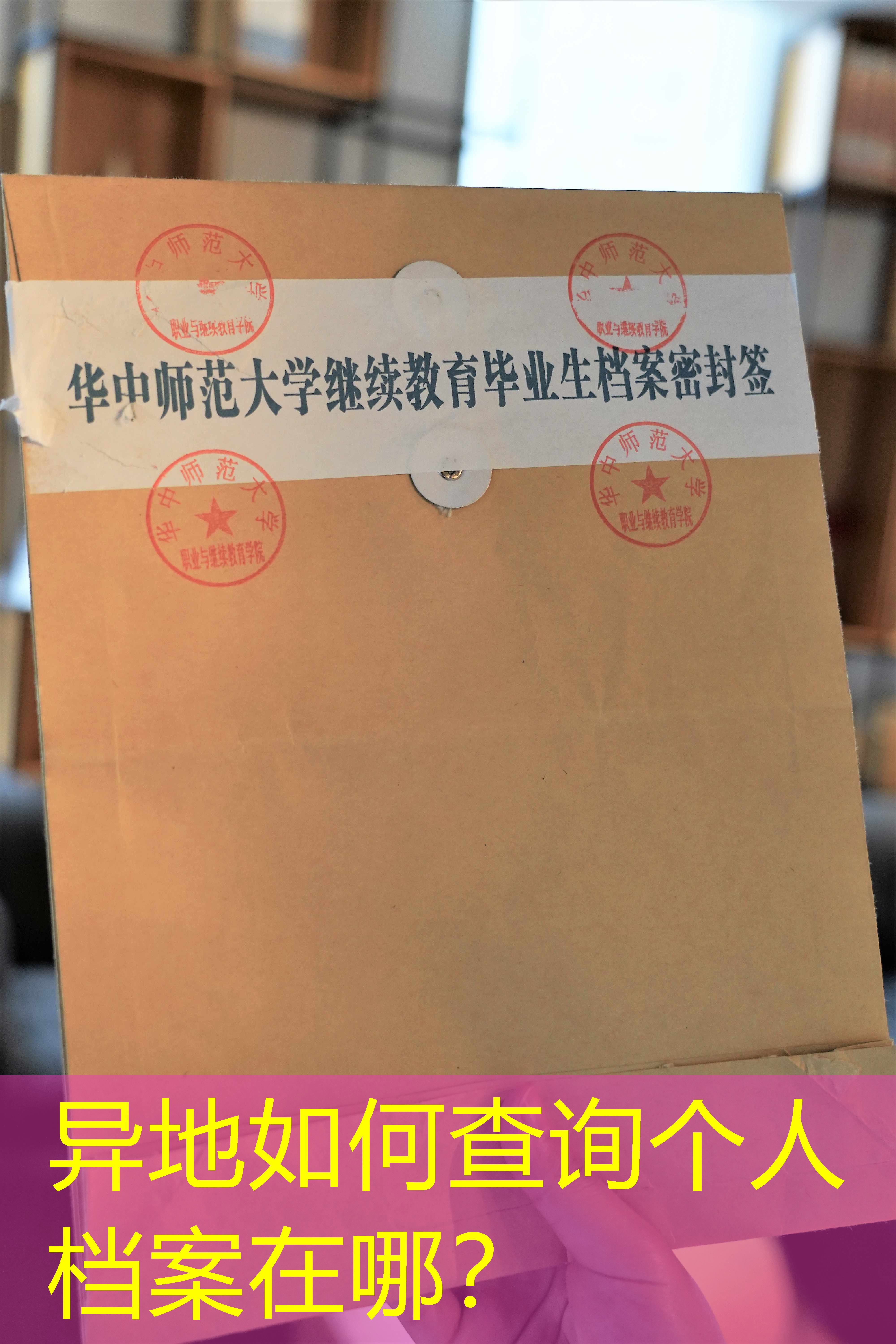 档案查询