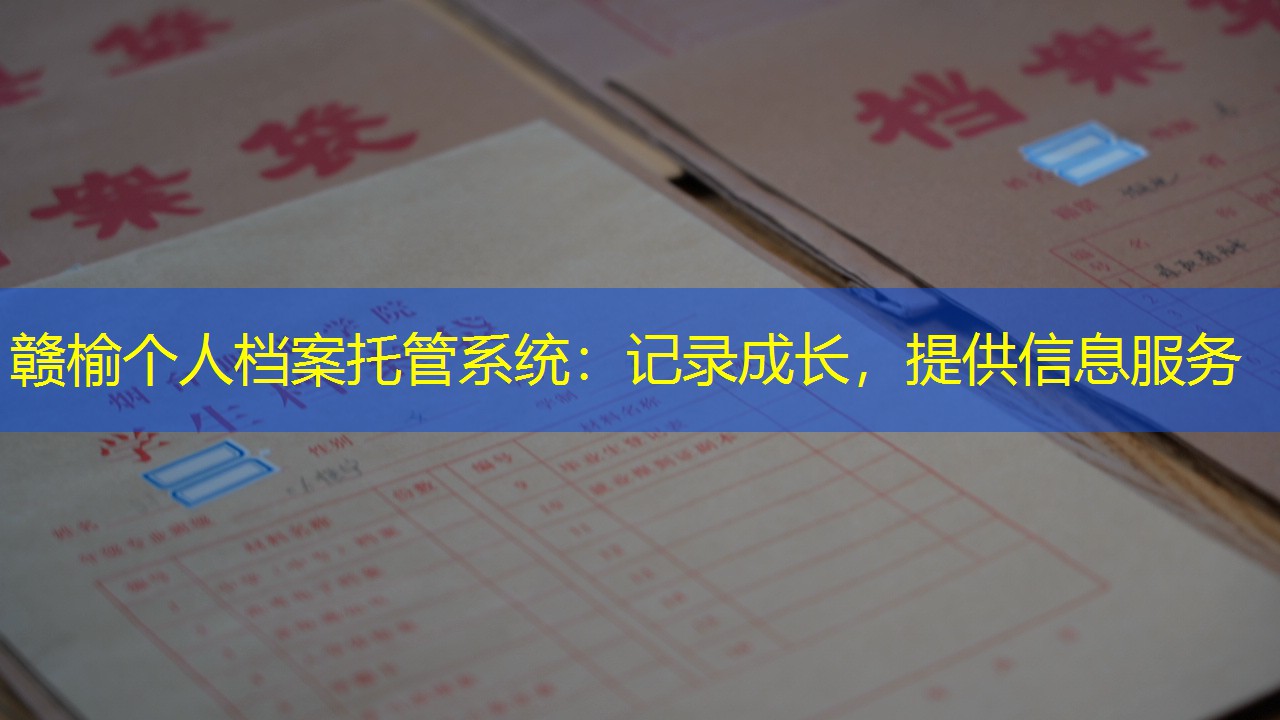 档案查询