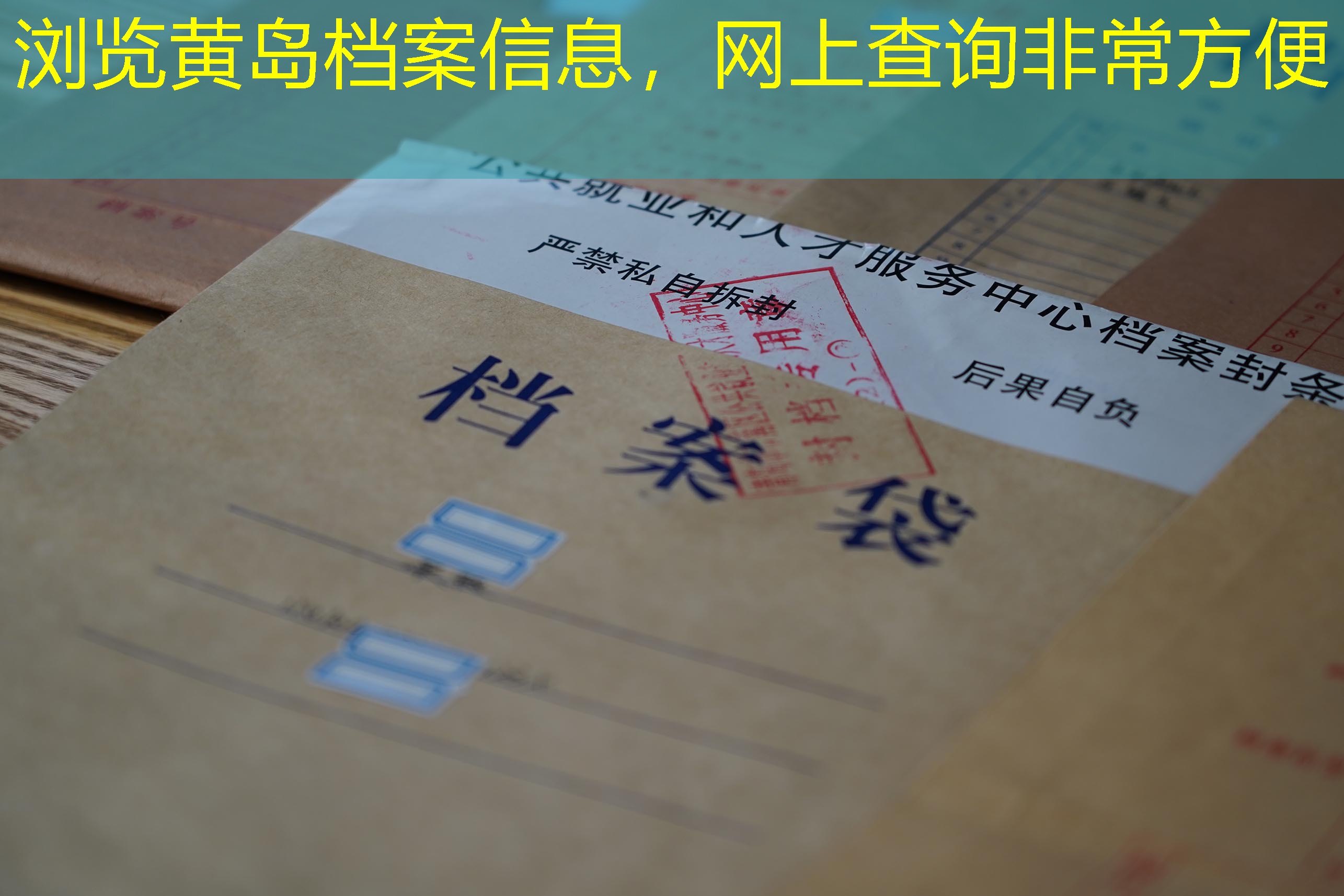 档案查询