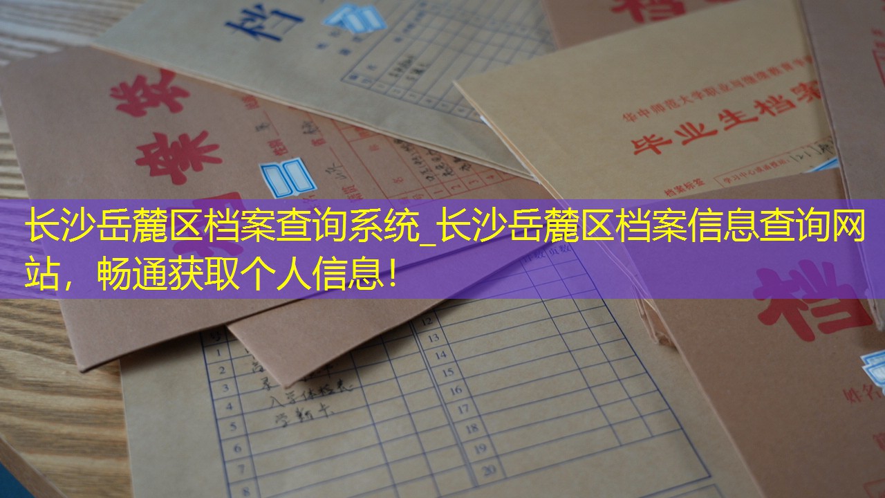 档案查询