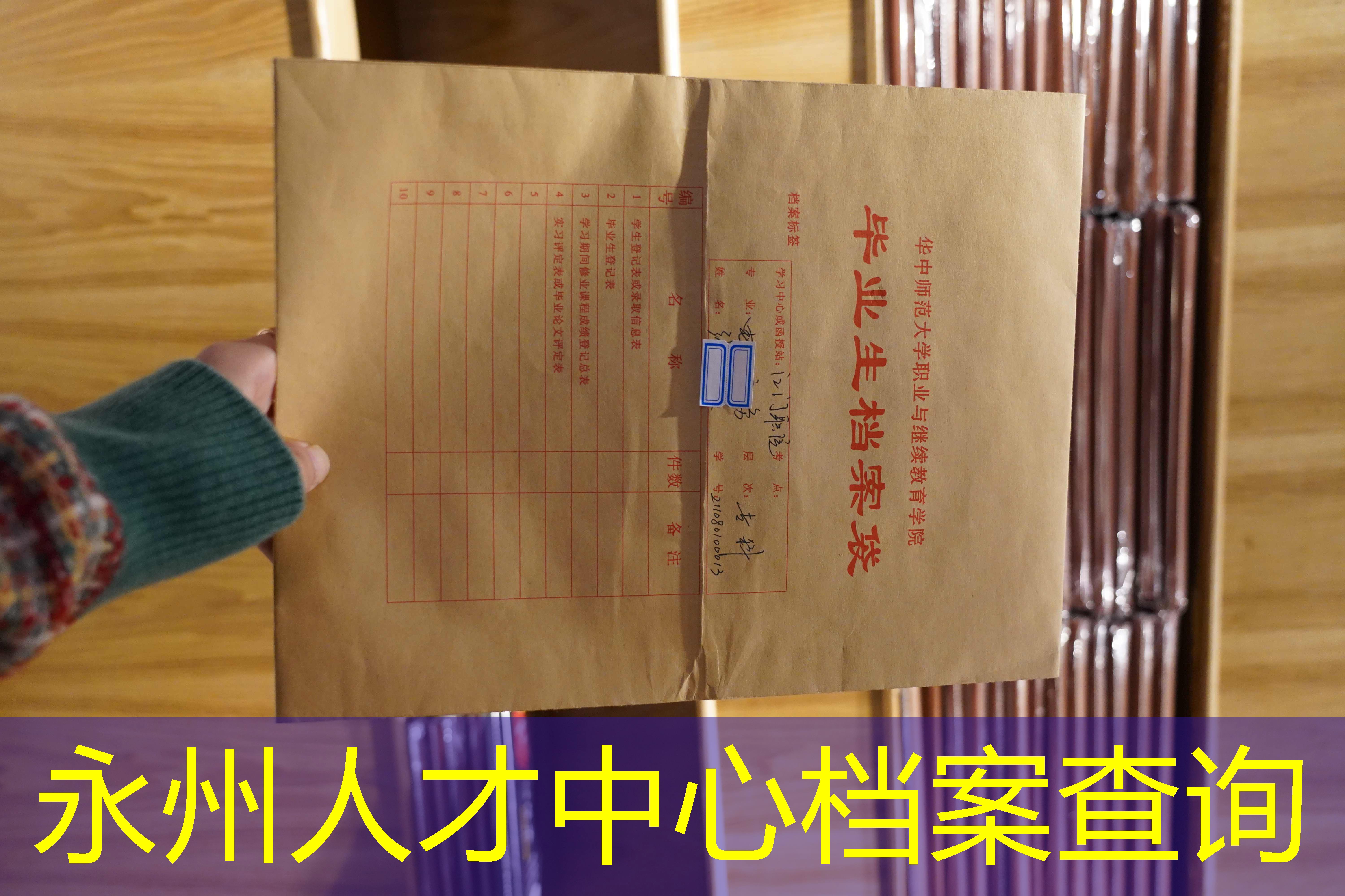 档案查询