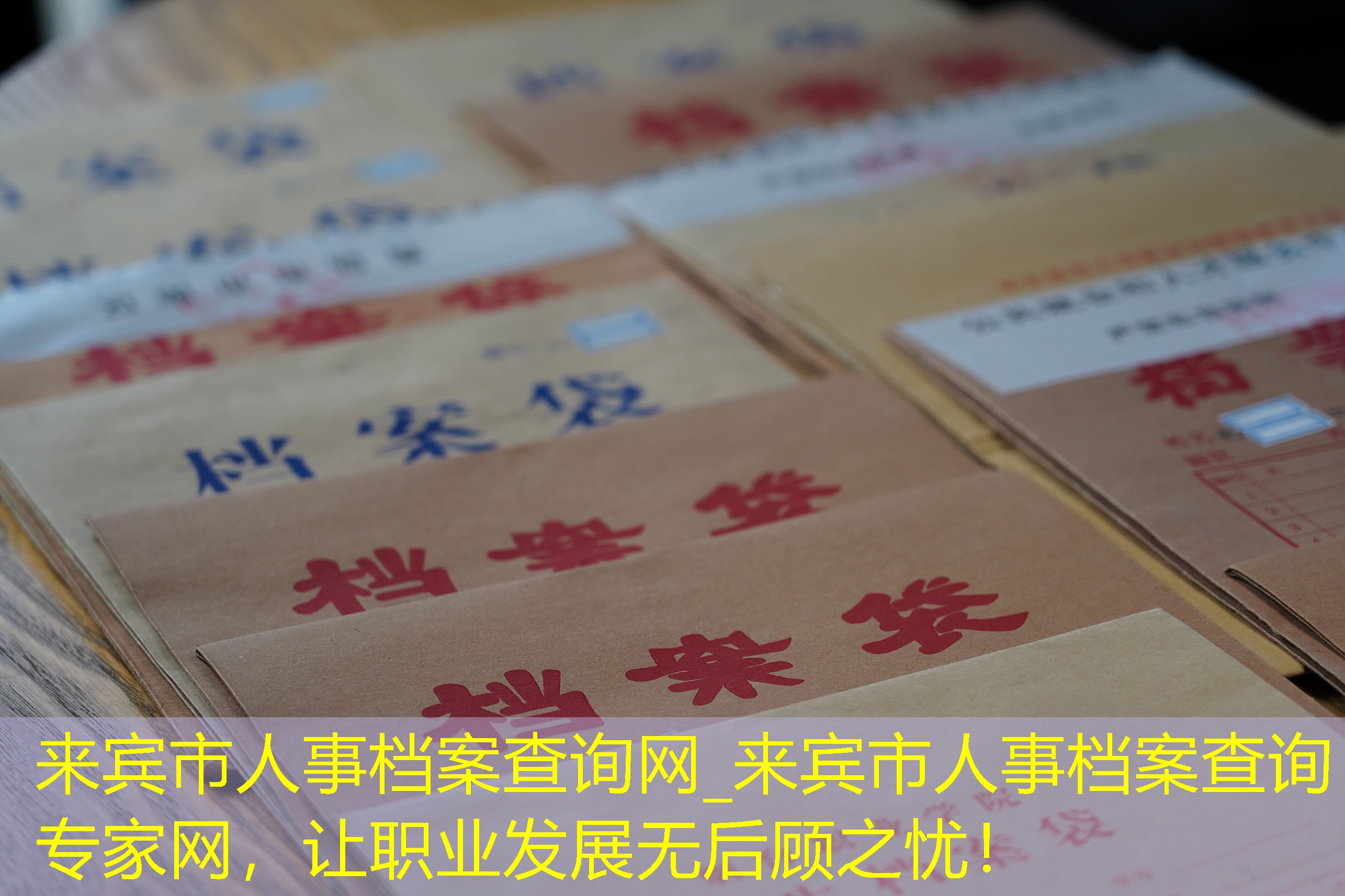 档案查询