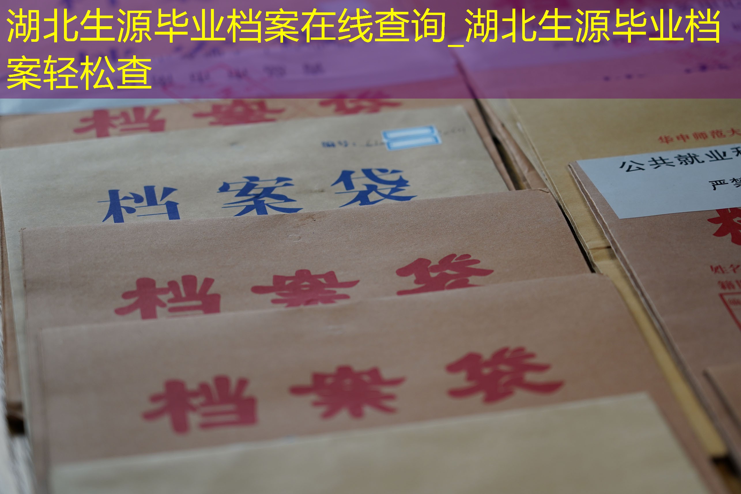 档案查询