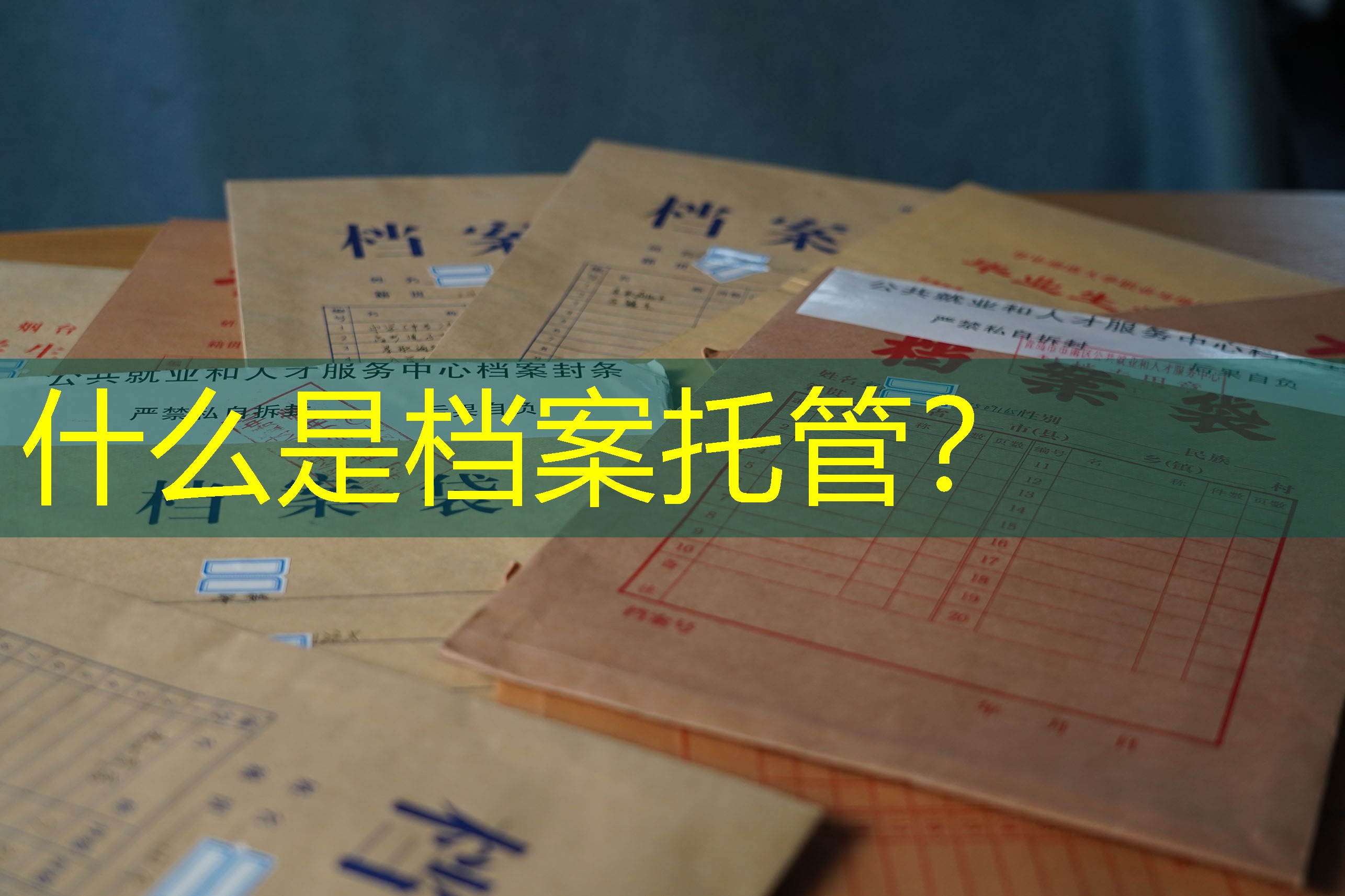 档案查询