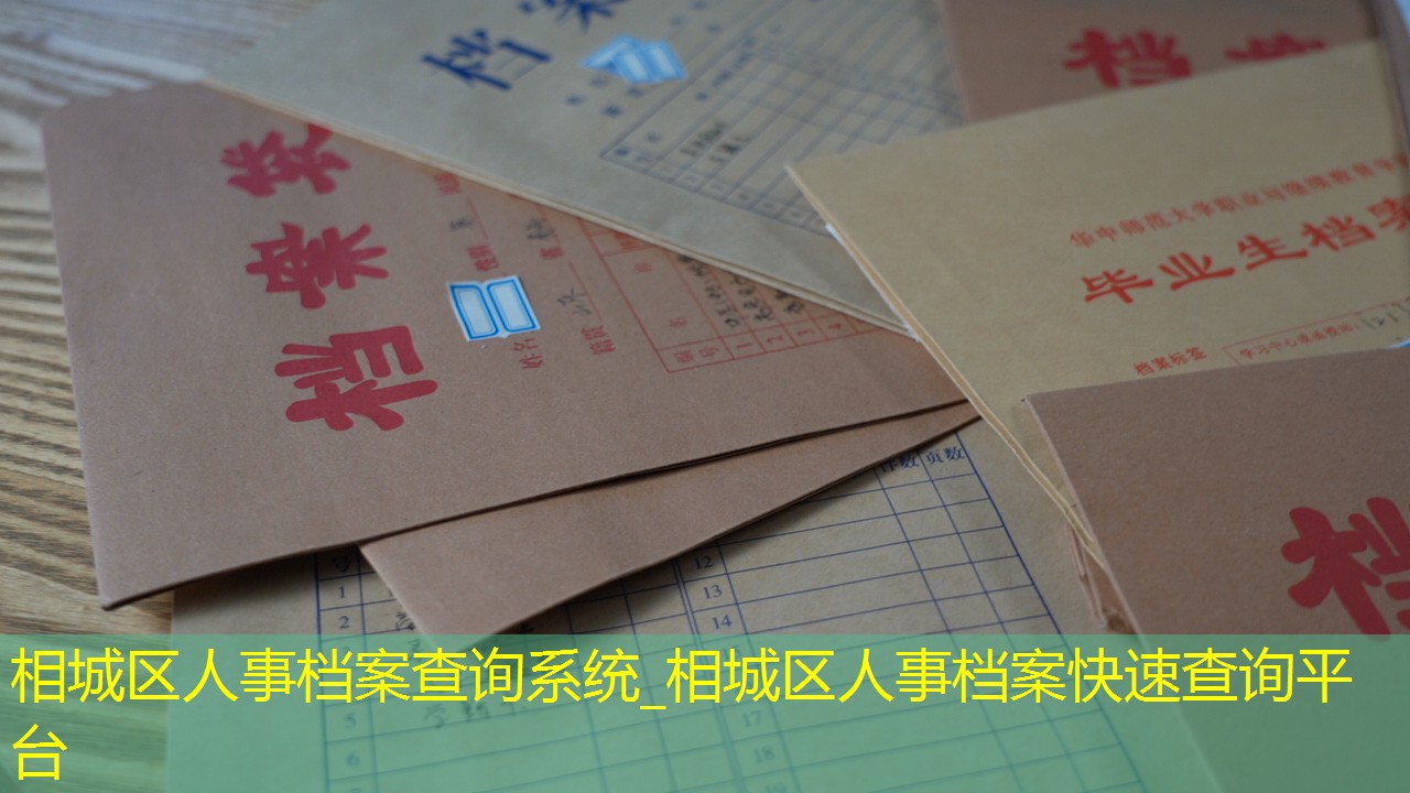 档案查询