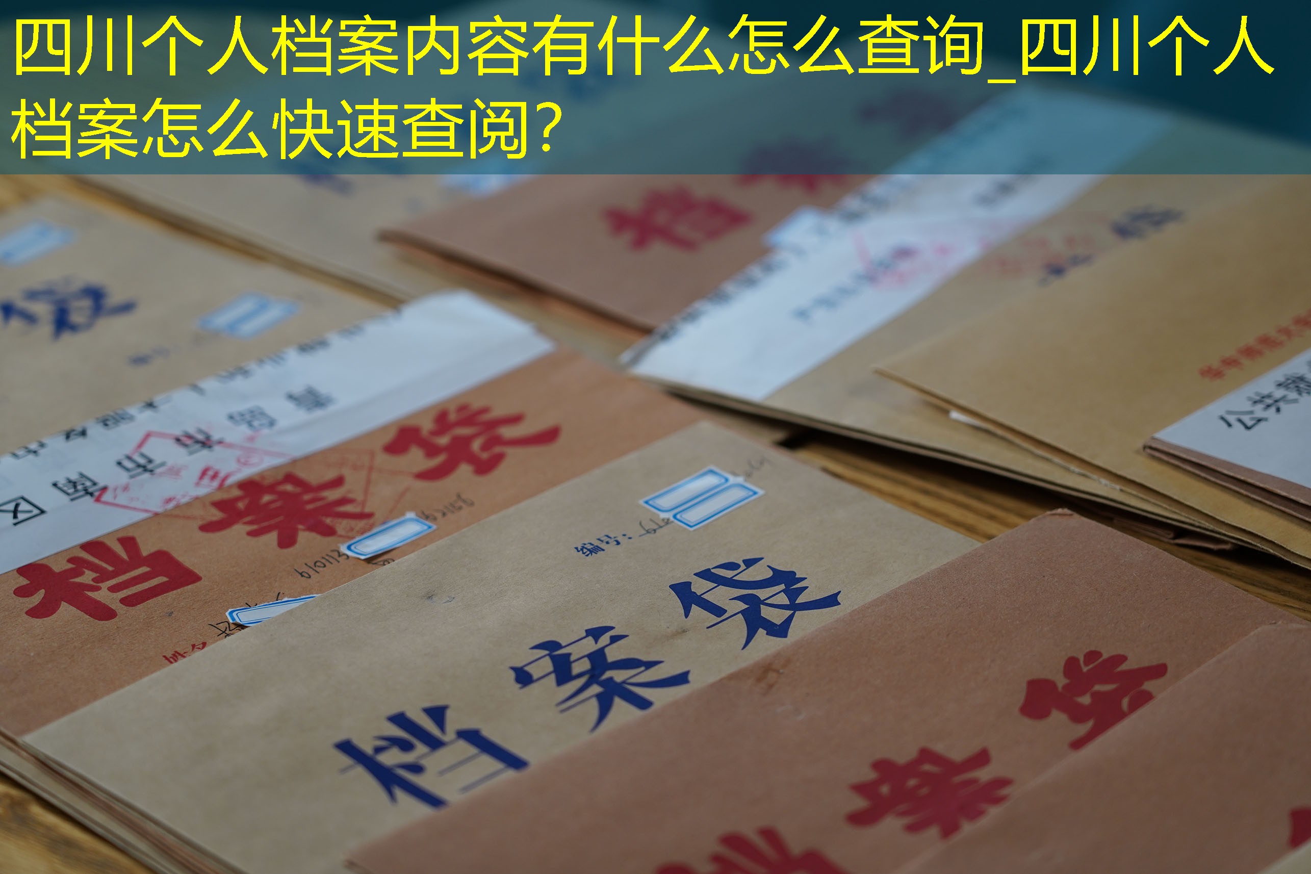 档案查询