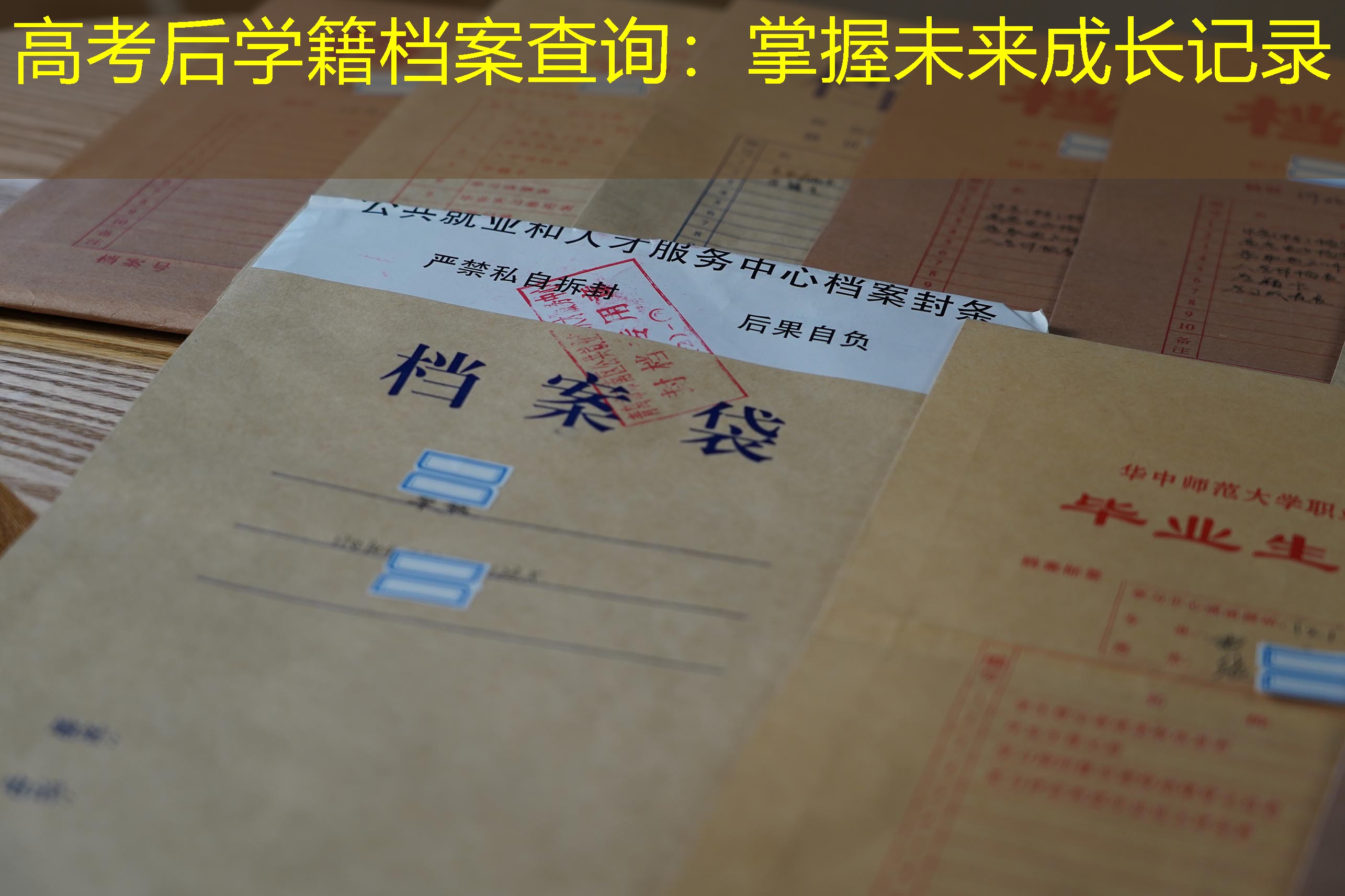 档案查询