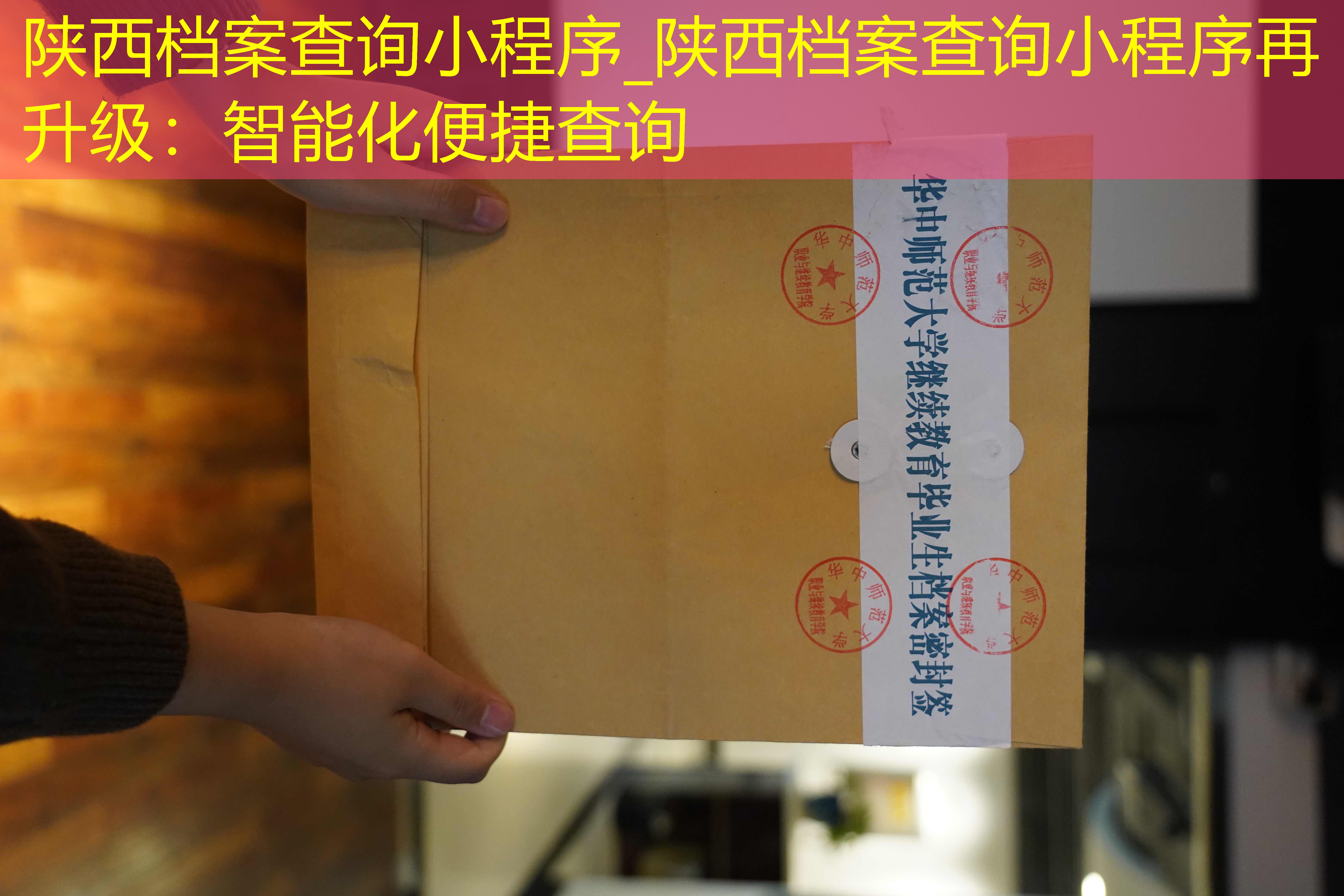 档案查询