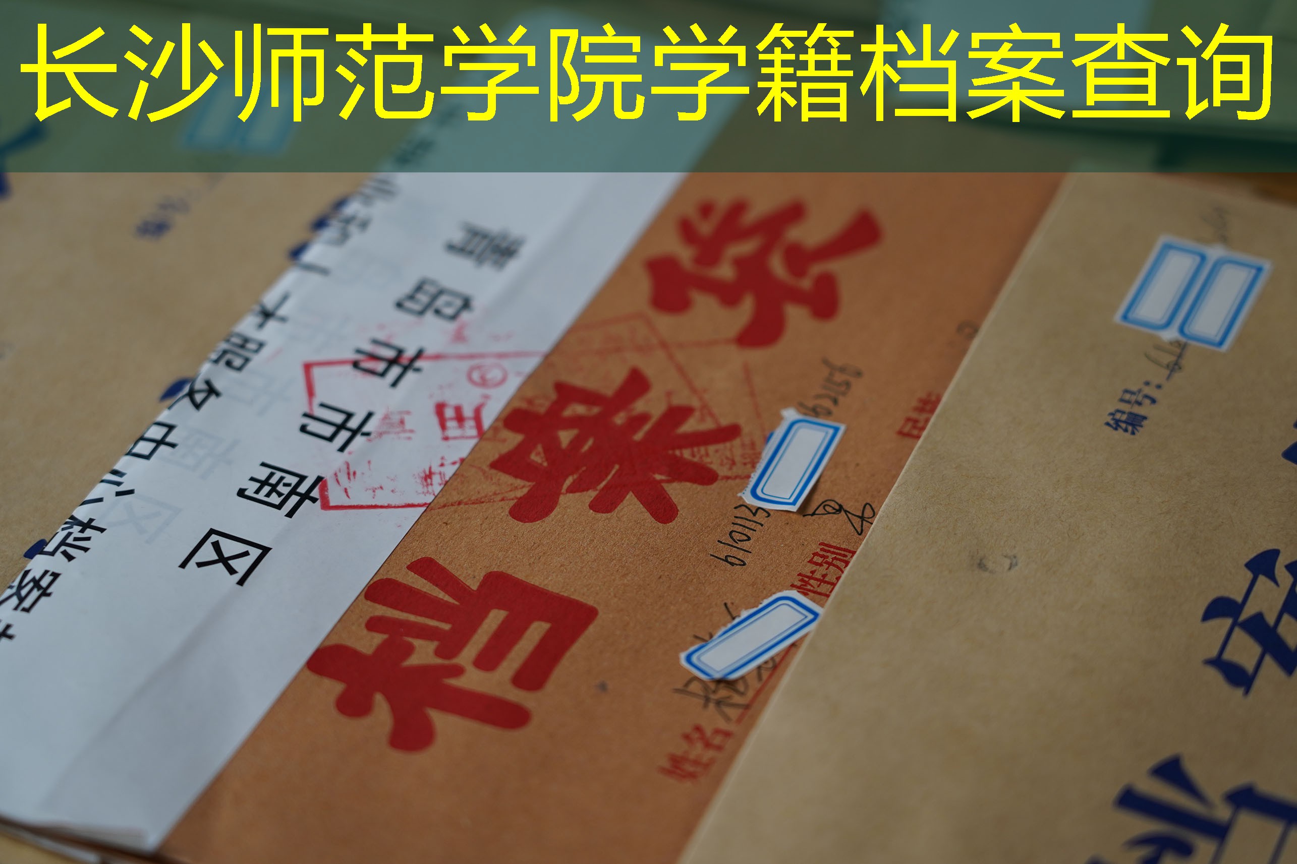档案查询