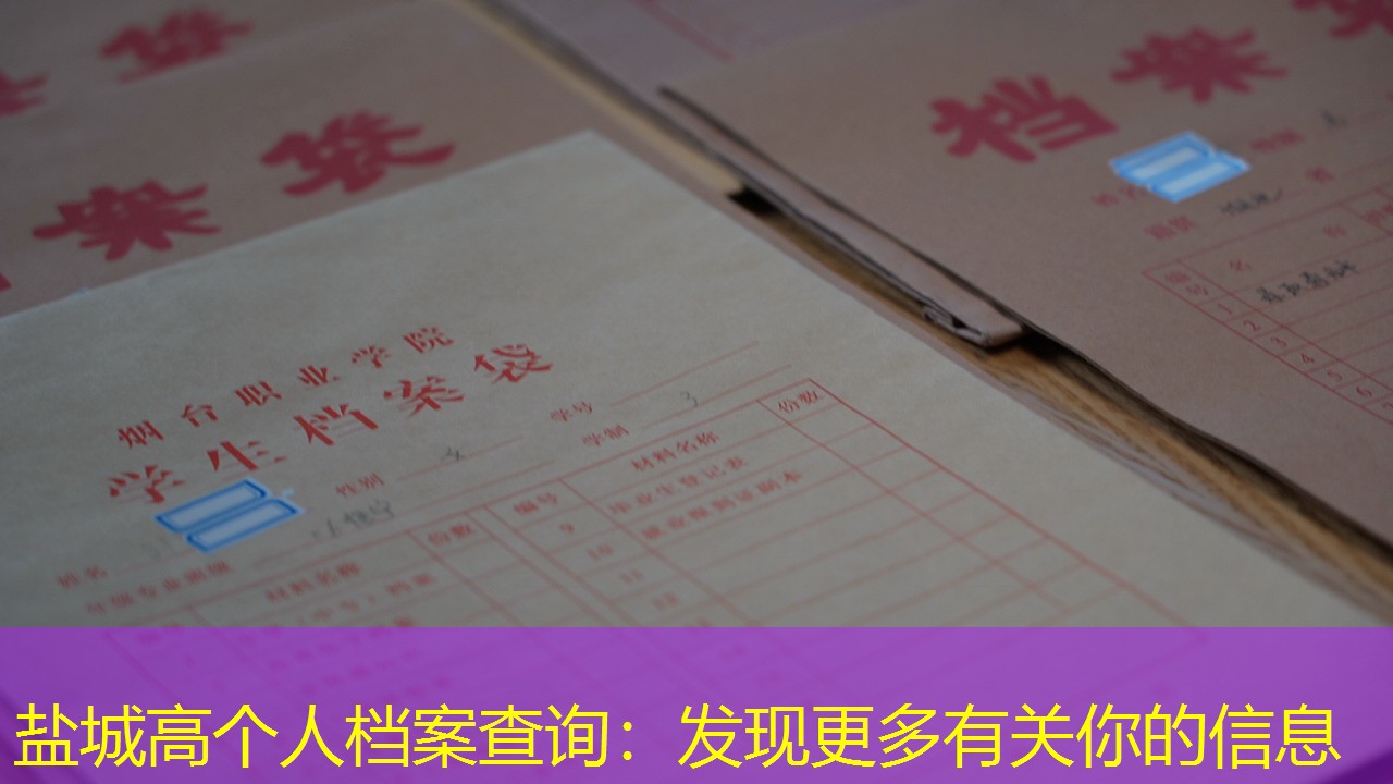档案查询