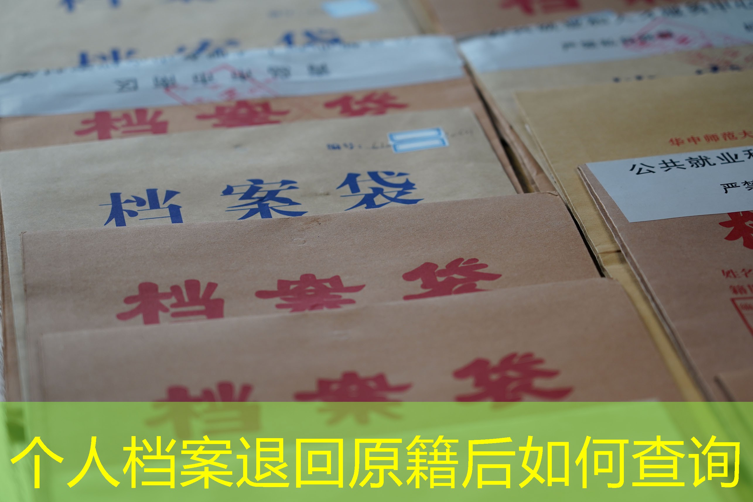 档案查询
